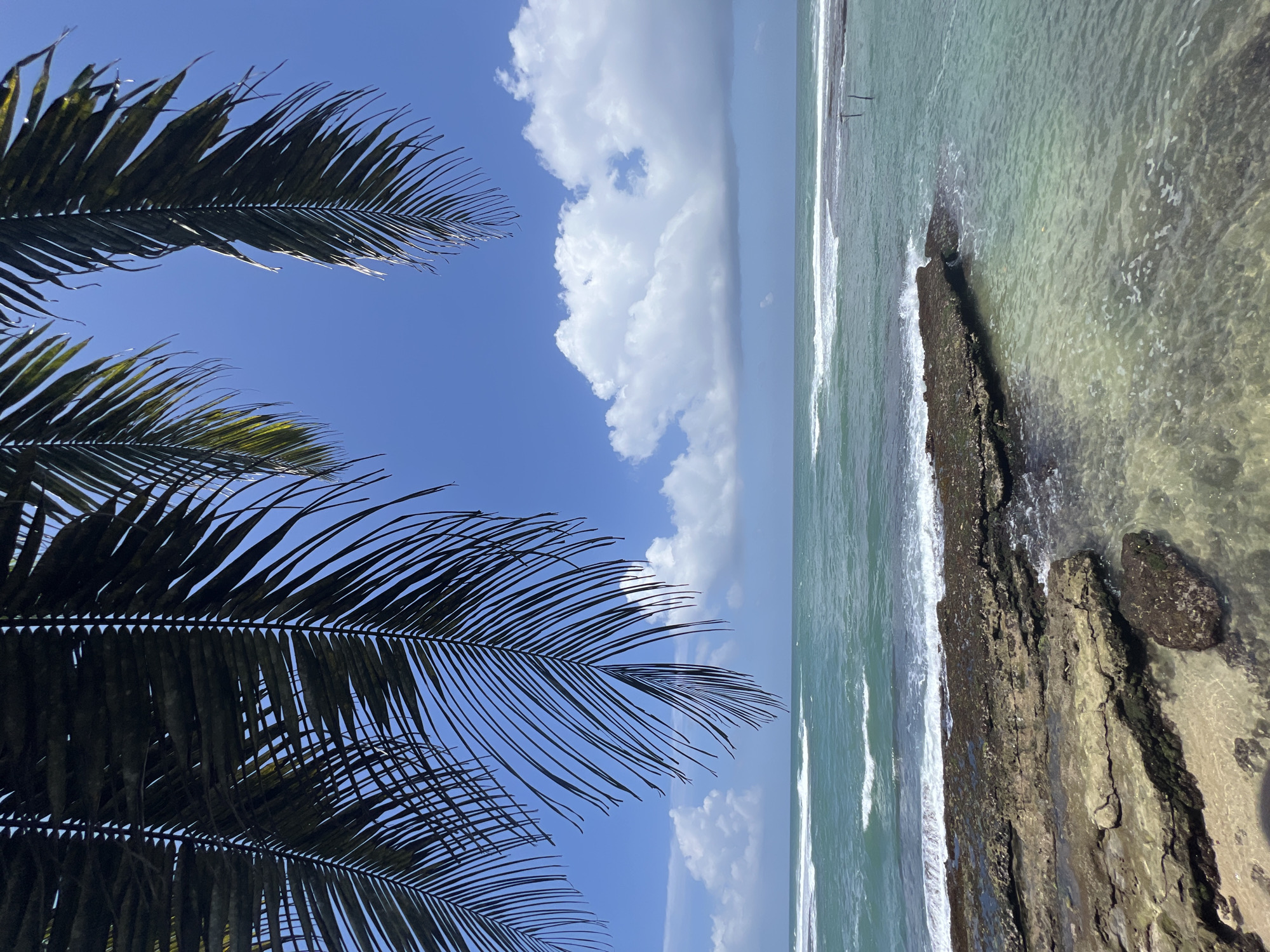 The image depicts a tropical beach scene in Goviyapana, Sri Lanka. The foreground is dominated by large, textured rock formations that extend into the clear, turquoise ocean. Shallow water allows visibility of the sandy bottom and submerged rocks. Gentle waves with white foam break against the shore and around the rocks. In the mid-ground, the ocean stretches towards the horizon, meeting a bright blue sky dotted with fluffy white clouds. Palm fronds, dark green and sharply defined, hang from the top of the frame, framing the sky and sea. The overall atmosphere is serene and natural, characteristic of a coastal landscape. There are no people or identifiable animals visible in the scene.