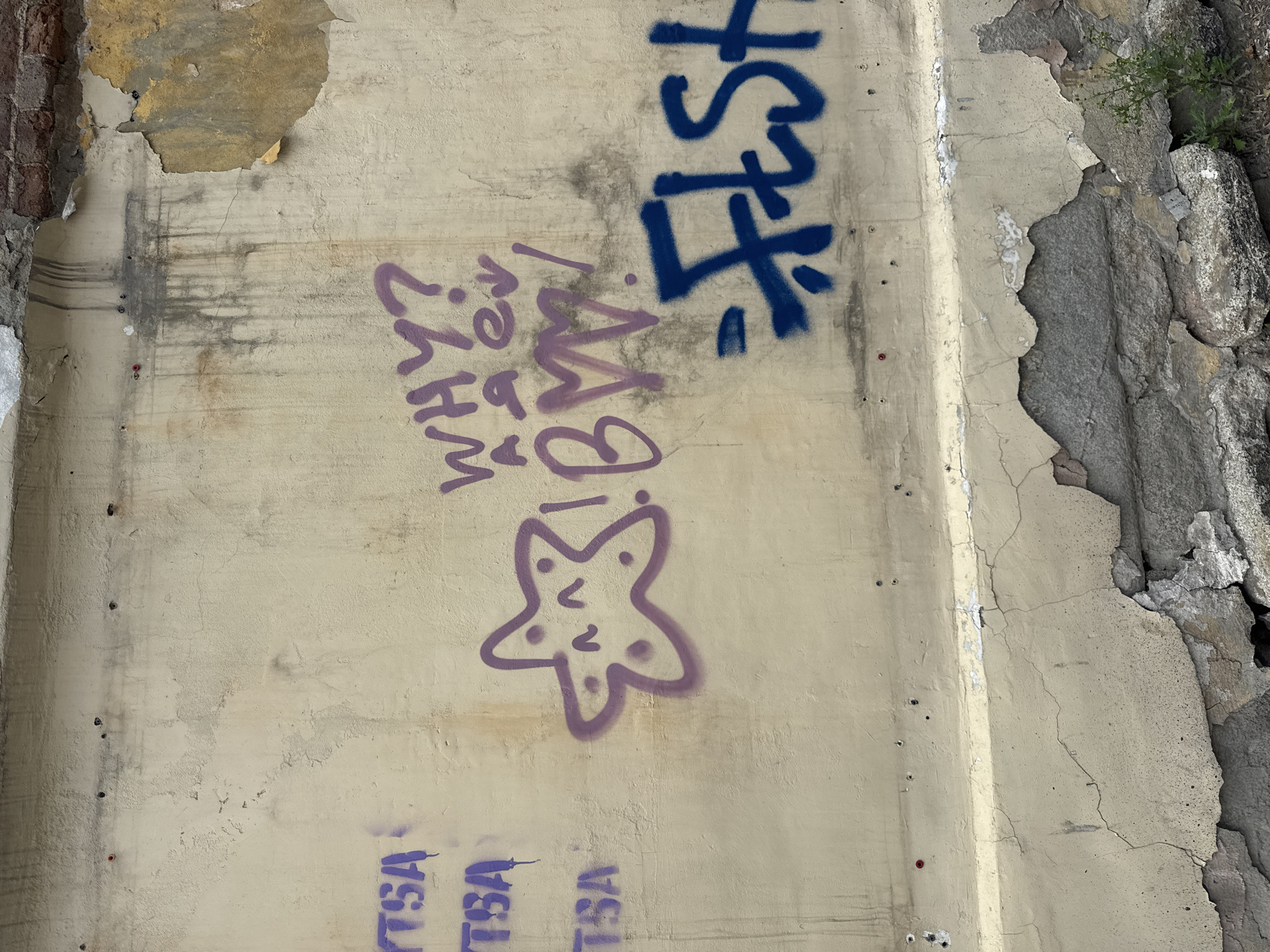 A beige painted concrete wall in Yekaterinburg, Russia, displays graffiti. In the upper left, purple spray paint spells out "YTSA" vertically. To the right, a purple starfish-like drawing with a smiley face is visible. Next to the starfish, purple graffiti reads "WHY?". Below "WHY?", more purple graffiti spells "BMV!". To the right of the starfish and "BMV!", blue spray paint spells "FLSH". The wall is weathered, with peeling paint and cracks, revealing brickwork and concrete underneath. The ground below the wall is composed of rubble and some sparse vegetation.