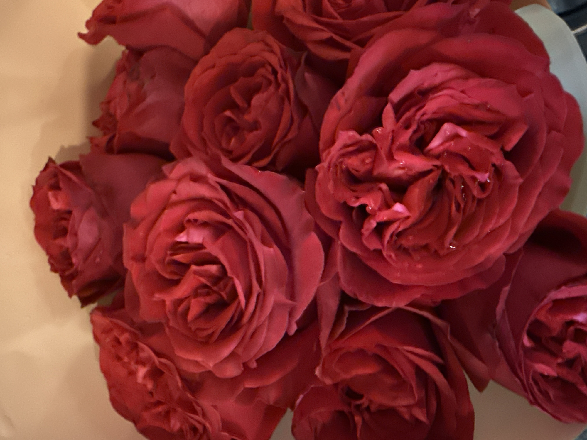 This is a close-up, overhead shot of a bouquet of deep red roses. The roses are in various stages of bloom, with some fully open and others still tightly furled. The petals are velvety and have a rich, dark red hue, with some showing hints of lighter pink or fuchsia. Tiny droplets of water are visible on some of the petals, suggesting they may have been recently misted or are freshly cut. The roses are densely packed together, creating a lush and abundant display. The background is a soft, out-of-focus pale beige, which helps the vibrant red of the roses stand out. The lighting is soft and diffused, highlighting the texture and depth of the petals. The overall impression is one of natural beauty, elegance, and perhaps a touch of romanticism. There is no visible text, people, or specific location cues beyond the general context of the image being a bouquet of roses. The activity taking place is simply the presentation of the floral arrangement.