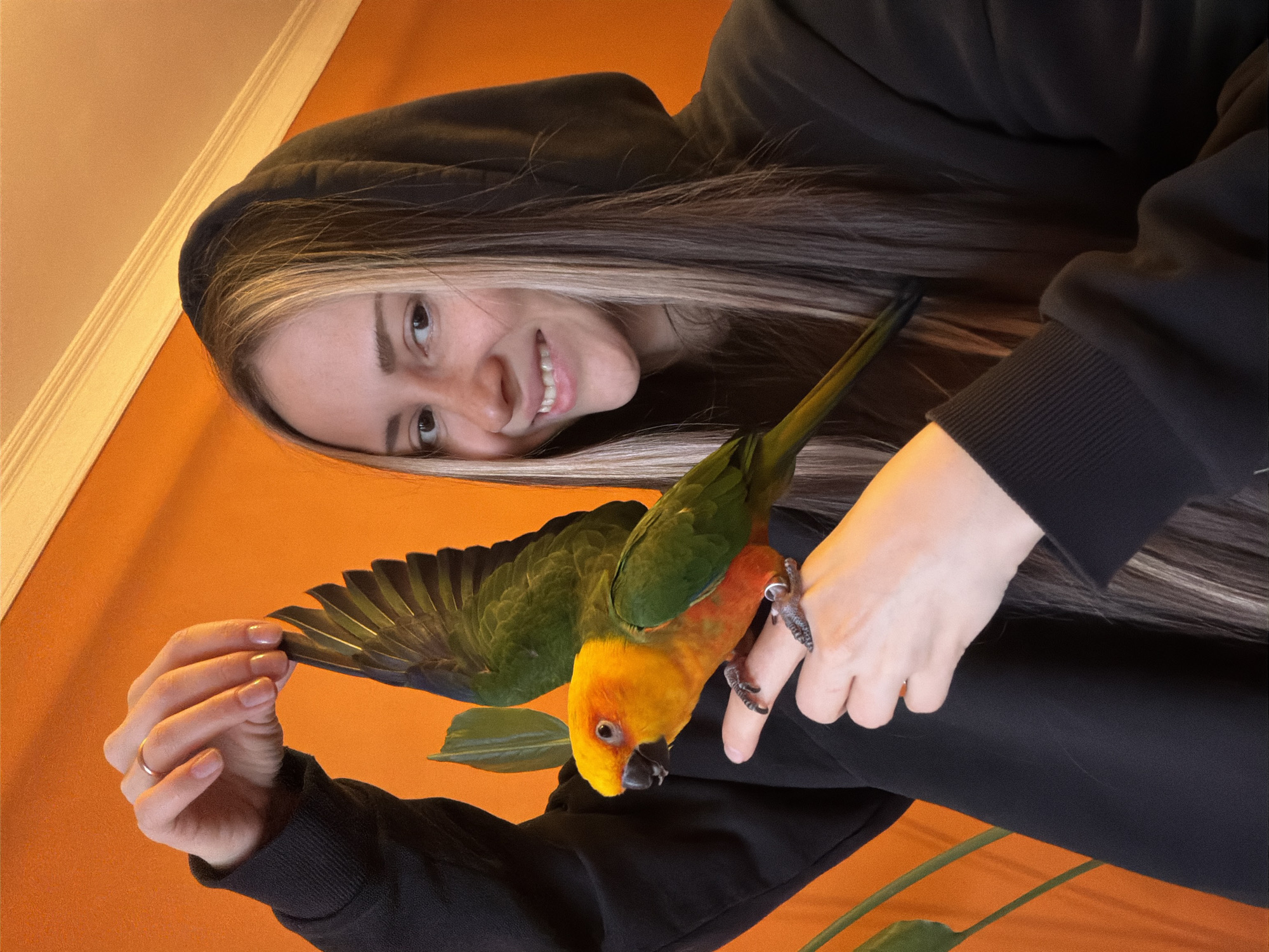 A young woman with light skin, long brown hair with blonde highlights, and wearing a black hooded sweatshirt is smiling and looking down at a Sun Conure parrot. The parrot is perched on her hand and extending its wing. The background consists of an orange wall with off-white trim at the top. The location is not discernible as Khimki, Russia.