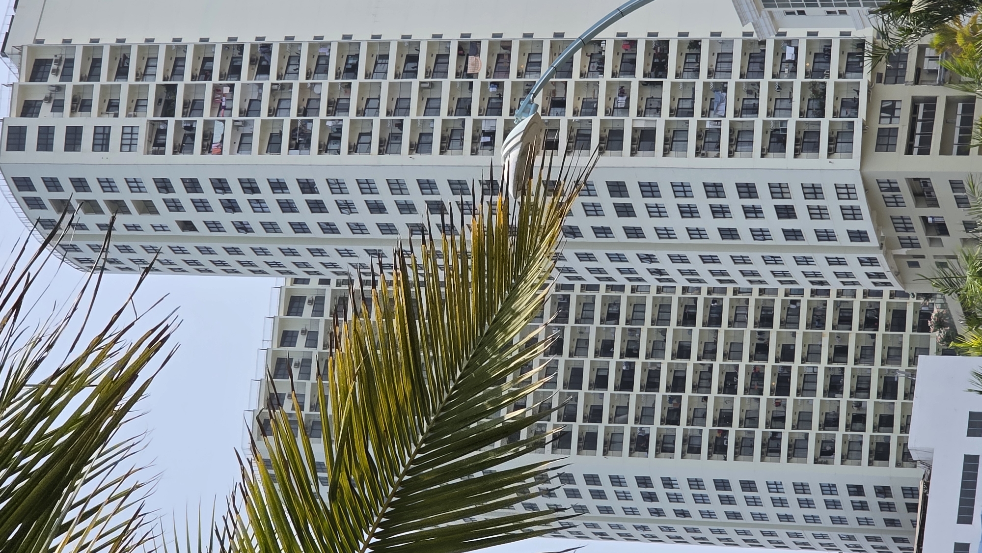 An upward shot reveals a striking architectural structure, likely a building, framed by palm fronds in the city of Nha Trang, Vietnam. The building is predominantly white, with a grid-like pattern of windows and balconies that extend horizontally across its facade. Some balconies show signs of occupancy, with glimpses of personal items and possibly residents. A curved street light extends toward the top of the frame. Palm leaves in the foreground provide a natural contrast to the man-made building and add depth to the composition. The scene is set against a bright blue sky, suggesting clear weather.