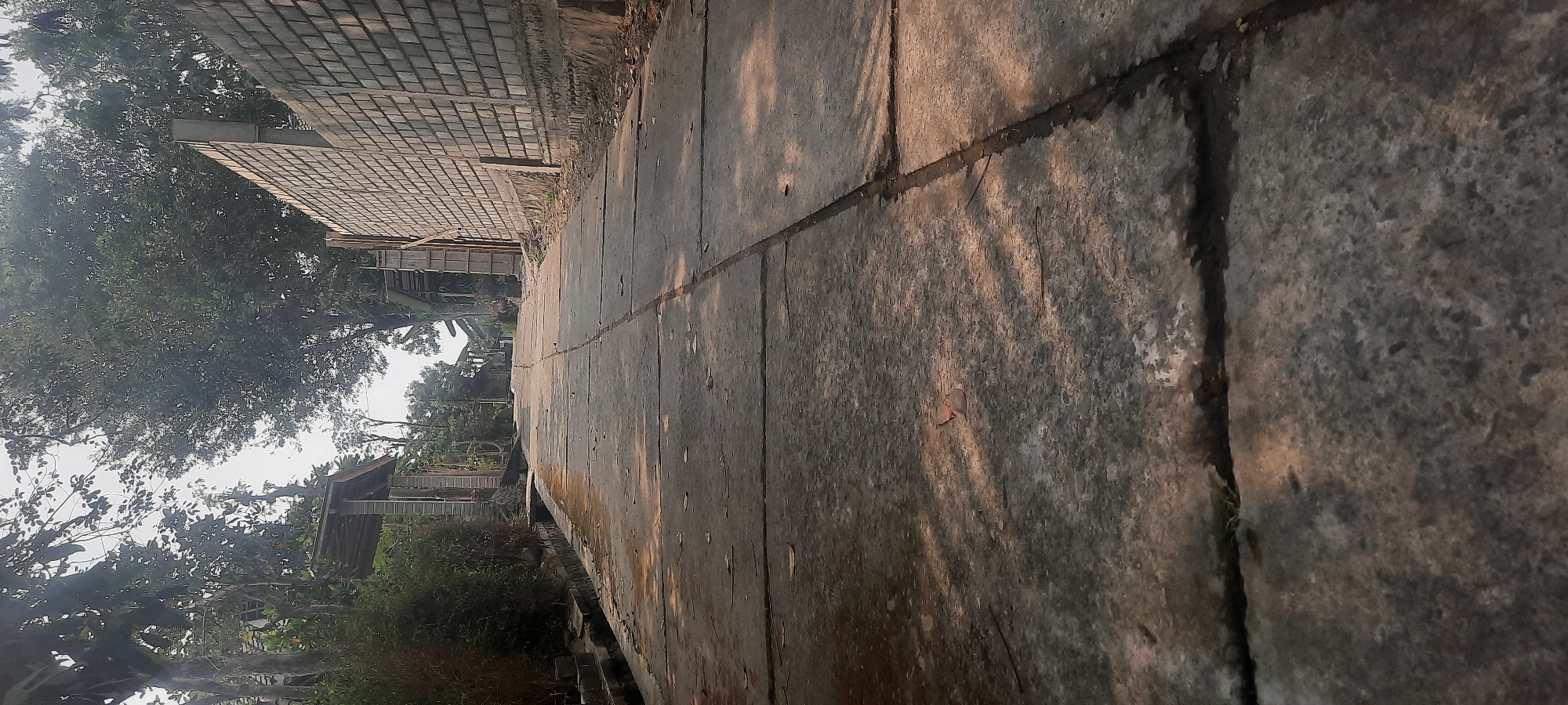 The image depicts a concrete road ascending a gentle slope, lined with vegetation and a brick wall under construction. The road is divided into rectangular sections, showing signs of wear and tear, with scattered leaves and debris. Sunlight casts dappled shadows across the surface. On the left, a dense cluster of trees and shrubs create a natural barrier, partially obscuring structures that appear to be simple buildings or shelters. On the right, the unfinished brick wall dominates, suggesting ongoing construction or renovation. In the distance, more trees and buildings are visible, hinting at a residential or rural setting. The sky is overcast, creating a muted light that accentuates the textures of the concrete and brick. The scene is devoid of people and any overt human activity, presenting a quiet, still moment in what is presumed to be the city of Ploso, Indonesia.