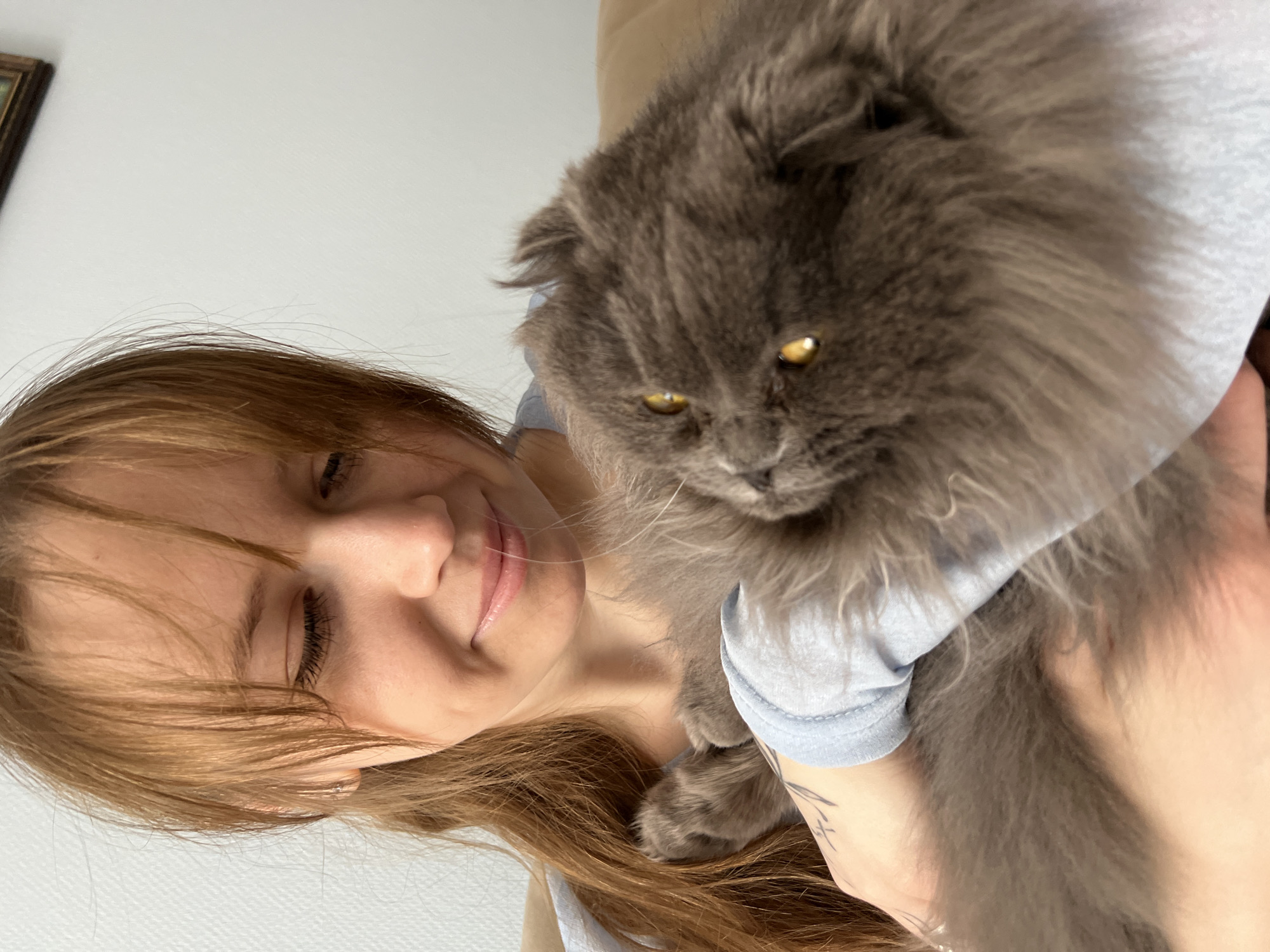 A woman with light brown hair is holding a large, gray cat. The woman is smiling with her eyes partially closed. The cat has yellow eyes and is looking downward. The woman is wearing a light blue shirt. The cat is wearing a light blue shirt. The scene appears to be indoors with white walls and a partial view of a framed picture. The location is presumed to be Tyumen, Russia.