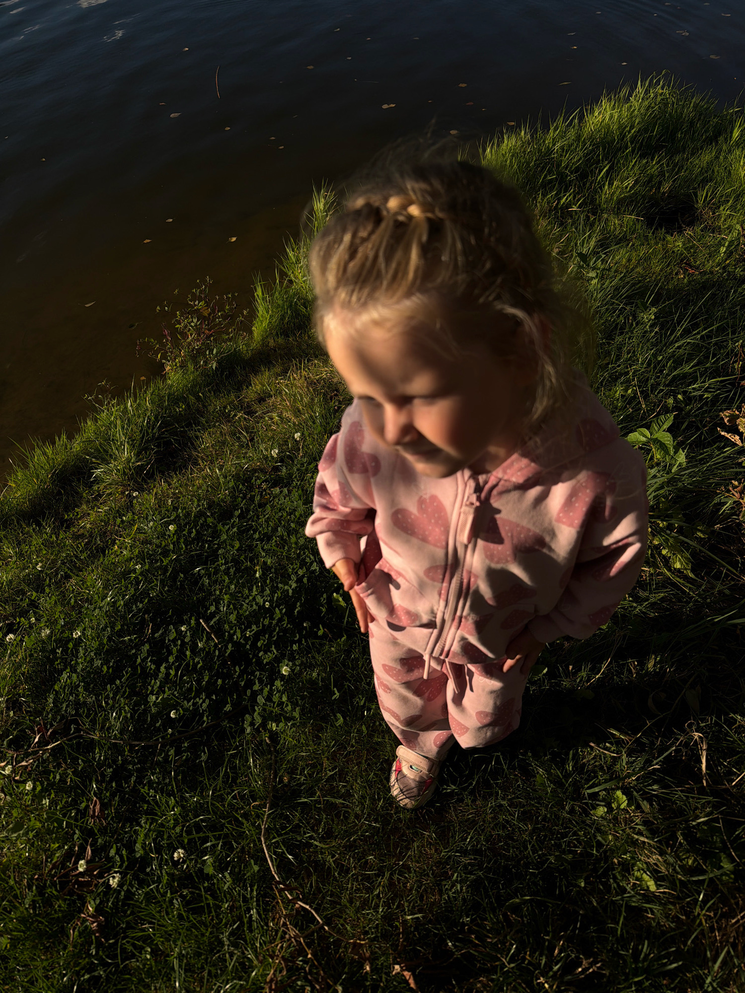 A young child with blonde hair, wearing a pink hooded tracksuit with a heart pattern, stands on a grassy bank next to a body of dark water. The child is facing downwards, looking towards the ground, with one foot slightly forward. The sun is casting strong shadows across the grass and the child. The water's surface is disturbed by ripples, and a few leaves and a thin stick are floating on it. The grassy area is covered with green grass and small white clover flowers, with some dried leaves and twigs scattered on the ground. The scene appears to be an outdoor location near a lake or pond.