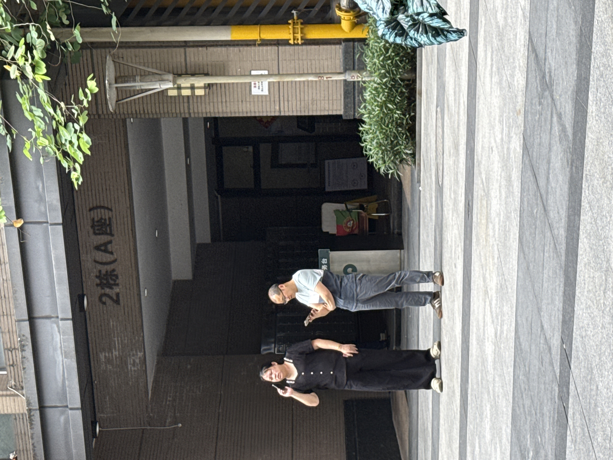 In this vertical, eye-level shot taken in Haizhu District, China, two individuals are captured mid-conversation outdoors. The scene appears to be in front of a building entrance with prominent signage. On the left, a man wearing glasses and a light-colored t-shirt and dark pants stands with his arms crossed, looking down at a smartphone in his hand. To his right and slightly in front, a woman in a black outfit, possibly a dress with white buttons down the front, is also holding a smartphone to her ear, appearing to be engaged in a phone call. Her gaze is directed forward, and her facial expression is neutral.
Behind the individuals, the building facade features the characters "2 栋 (A 座)" painted vertically, indicating a building designation. The entrance area is paved with stone tiles and there are hints of greenery from plants situated nearby, one of which has long, leafy branches hanging into the frame from the top left. Overhead, yellow pipes and structural elements are visible, suggesting an urban environment. The lighting indicates it is daytime, likely sunny, with distinct shadows cast on the ground. The overall atmosphere is casual, with both individuals seemingly occupied with their phones.