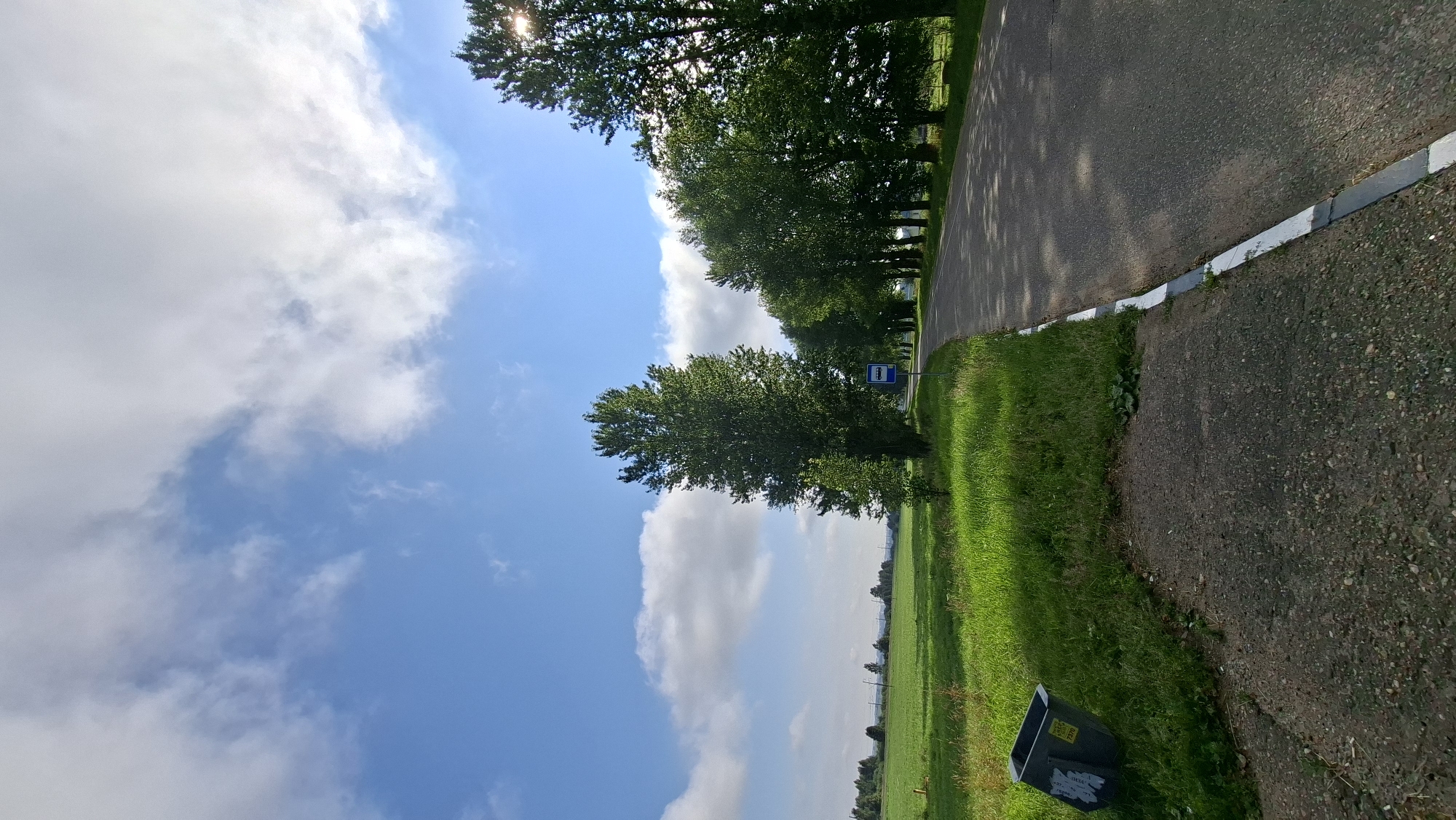 The image shows a road lined with trees in a rural setting, likely within the Забалоцкі сельскі Савет, Belarus. On the left side of the road, a grassy field stretches out, and a dark gray garbage bin is visible near the edge of a paved area. The road itself is asphalt and appears to be a two-lane road with a white and black striped curb. A bus stop sign, featuring a blue square with a white bus silhouette, is positioned along the right side of the road. Tall green trees form an avenue along the right side of the road, casting shadows on the asphalt. The sky is blue with scattered white clouds. The overall scene is peaceful and depicts a typical rural landscape in Belarus.