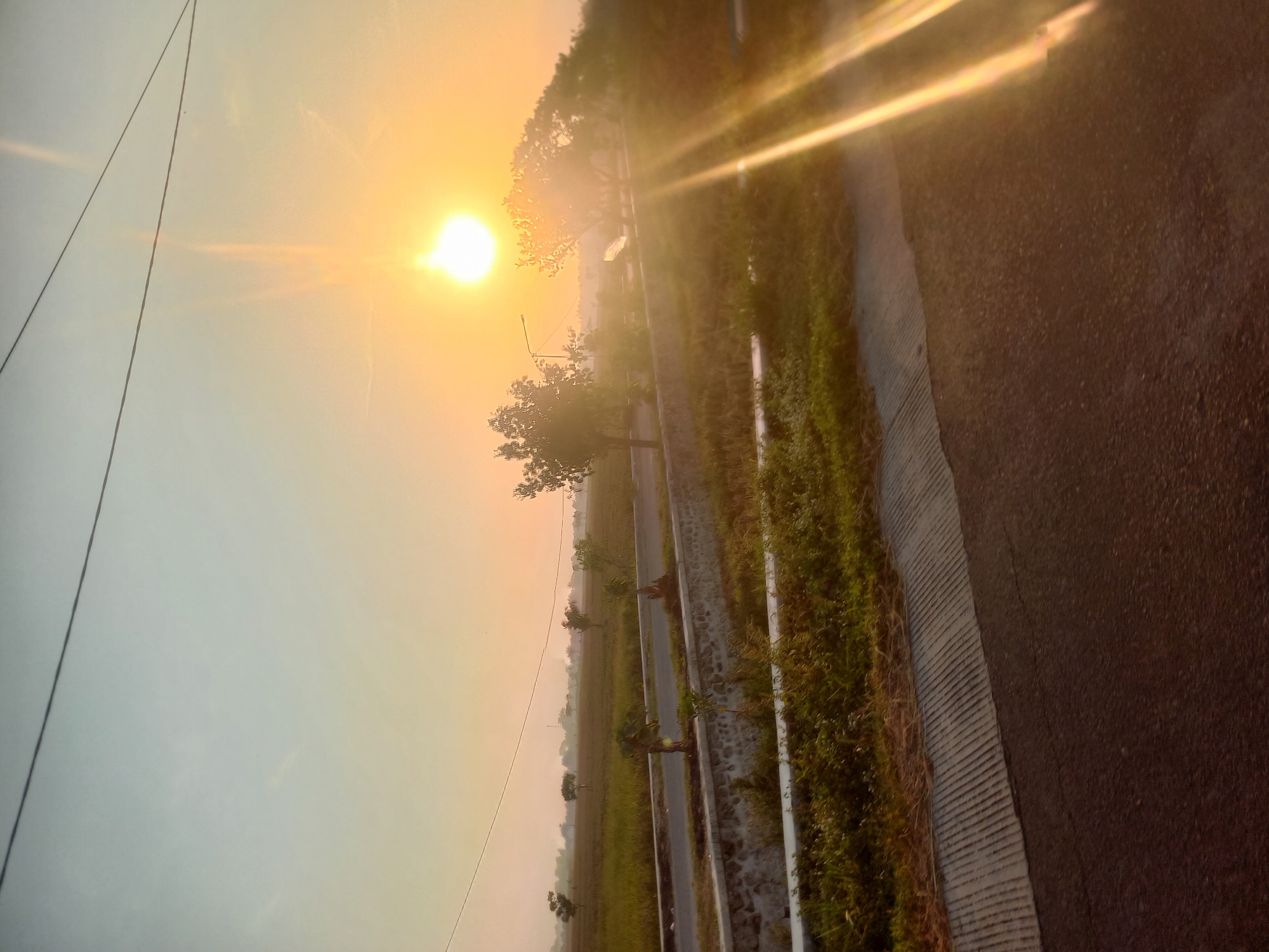 The image depicts a tranquil dawn scene in Megaluh, Indonesia, characterized by the soft glow of the rising sun. The sky transitions from a pale blue at the top to a warm orange hue near the horizon, creating a serene atmosphere. The sun itself is a bright, radiant orb, casting long, golden rays that streak across the image, illuminating the landscape with a gentle light.
In the foreground, a paved road runs diagonally across the frame, its surface textured with parallel grooves. Adjacent to the road is a strip of green grass and vegetation, some of which is damp with dew, hinting at the early morning hour. A low, stone-and-concrete wall separates this roadside vegetation from a cultivated field, which appears to be a rice paddy given the typical agricultural landscape of the region. The field is a muted brown and green, suggesting it's either being prepared for planting or has recently been harvested.
Scattered throughout the field are several small trees, their forms softened by the distance and the atmospheric haze. A single street lamp stands by the roadside, its presence a subtle reminder of human infrastructure within the natural setting. The overall impression is one of peaceful rural life as the day begins.