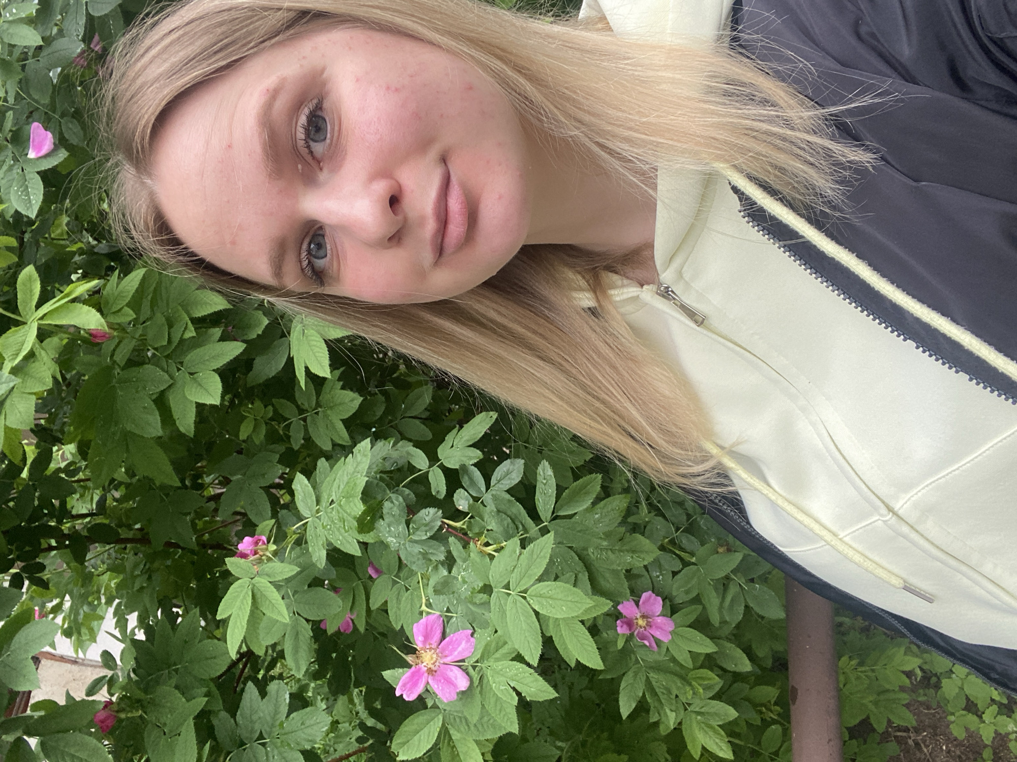 A young adult female with long, straight blonde hair and blue eyes looks directly at the camera with a slight, closed-mouth smile, exhibiting some skin redness on her cheeks and forehead. She wears a light yellow zippered hooded sweatshirt under a dark grey or black outer jacket, with a yellow drawstring visible on the hoodie. She is positioned outdoors, in the city of Unknown, Unknown, in front of a dense green bush featuring numerous five-petaled pink flowers, consistent with wild roses, and green leaves, many of which bear water droplets. In the upper left background, a light-colored building or structure is partially obscured by the foliage. A dark brown metal bar or railing is visible in the lower left foreground, behind the woman, above patches of soil.