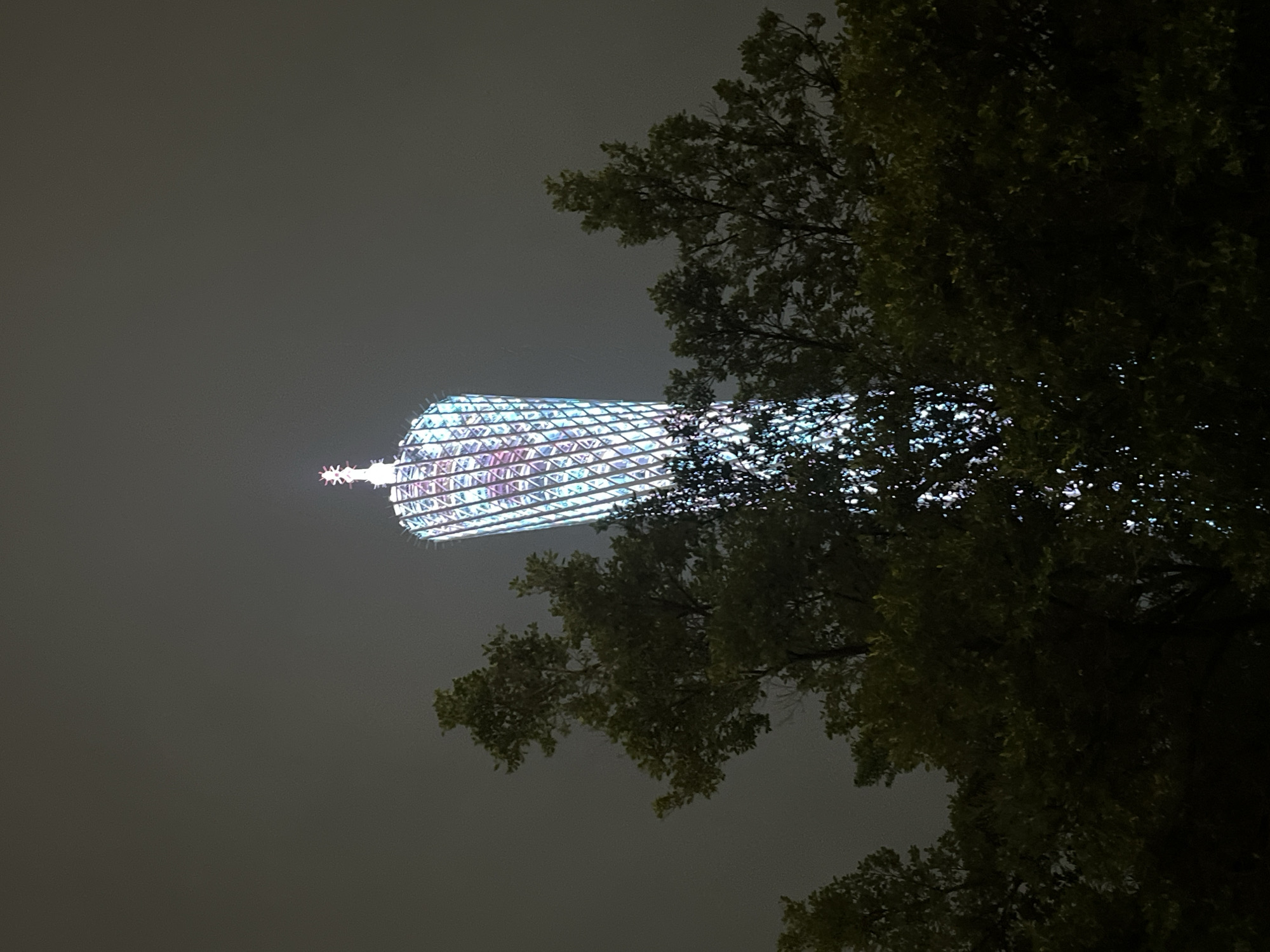 The image shows the Canton Tower, located in Haizhu District, China, at night. The tower is illuminated with vibrant blue and pink lights, creating a lattice pattern against the dark sky. The top of the tower features a red star-like structure. In the foreground, dark green foliage from trees partially obscures the lower portion of the tower. The overall scene is dimly lit, with the illuminated tower being the primary focal point.