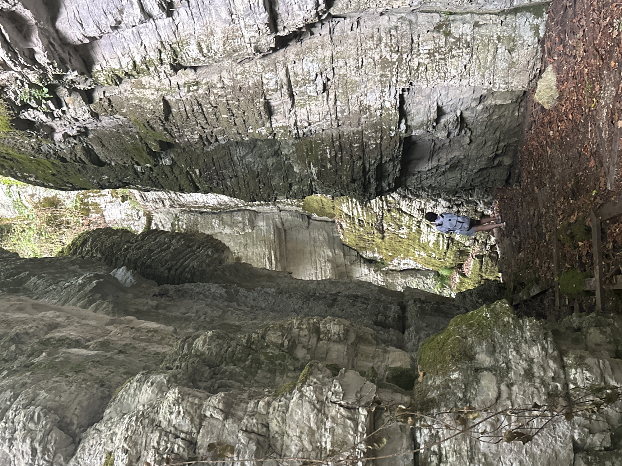 A person walks down a narrow path between towering, moss-covered rock formations. The path is covered in fallen leaves and has wooden planks forming a makeshift staircase. The rock walls are textured and layered, with some areas showing exposed rock faces and others covered in green moss and small plants. The person, viewed from behind, is wearing a light-colored jacket with a backpack and shorts. Sunlight filters down from above, illuminating the scene and creating shadows within the gorge. The environment suggests a natural, outdoor location. The image does not provide any information or context related to the city of Adlerskiy, Russia.