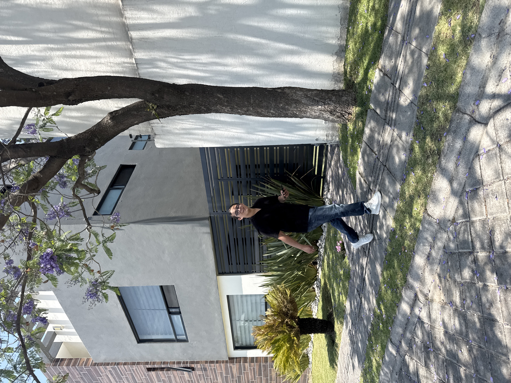 A photograph shows a man standing on a sidewalk in front of a building. The man is wearing a black shirt, blue jeans, and white shoes. He is also wearing glasses and holding a phone in his right hand. The building is a modern, two-story structure with a white facade and black trim. There are windows on both floors. To the side of the building is a tree with purple flowers in bloom. A small palm tree is also visible near the building. The sidewalk is paved with gray stones. Purple flower petals are scattered on the sidewalk and grass. The location appears to be a residential area. While the exact location cannot be definitively confirmed from the image, the architectural style and vegetation are consistent with the city of Puebla, Mexico.