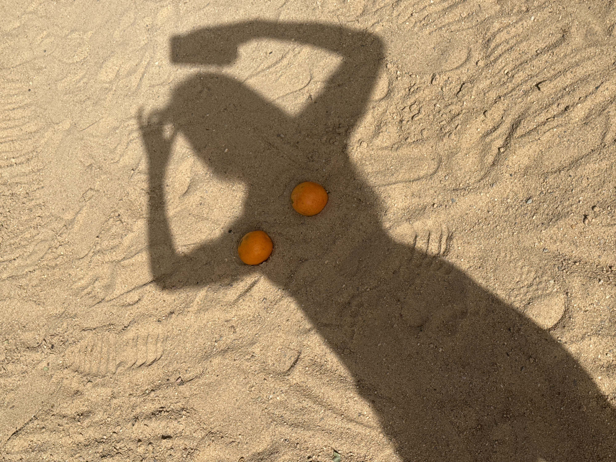A shadow of a person is cast on sand with two oranges placed below the chest area of the shadow. The person's shadow is holding a phone in their raised right hand. The environment is sand. There is no information to suggest this picture was taken in the city of Safaga, Egypt.