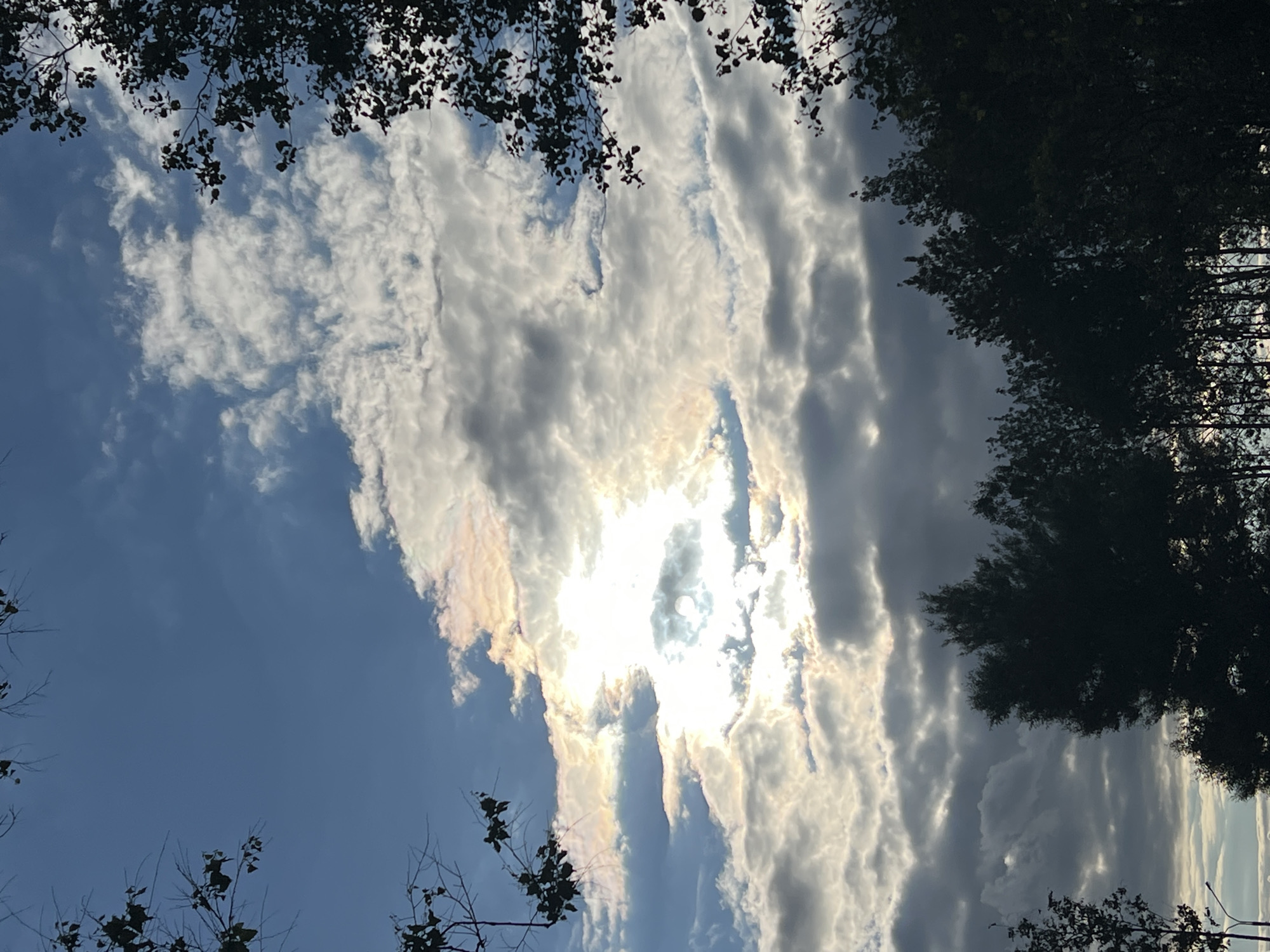 The image shows a sky with scattered clouds and the sun peeking through, creating a halo effect. The lower portion of the image is dominated by the dark silhouettes of trees. The scene appears to be an outdoor environment. The image does not contain enough detail to identify a specific location within the city of Minsk, Belarus. There are no people or discernible objects or actions visible in the image.