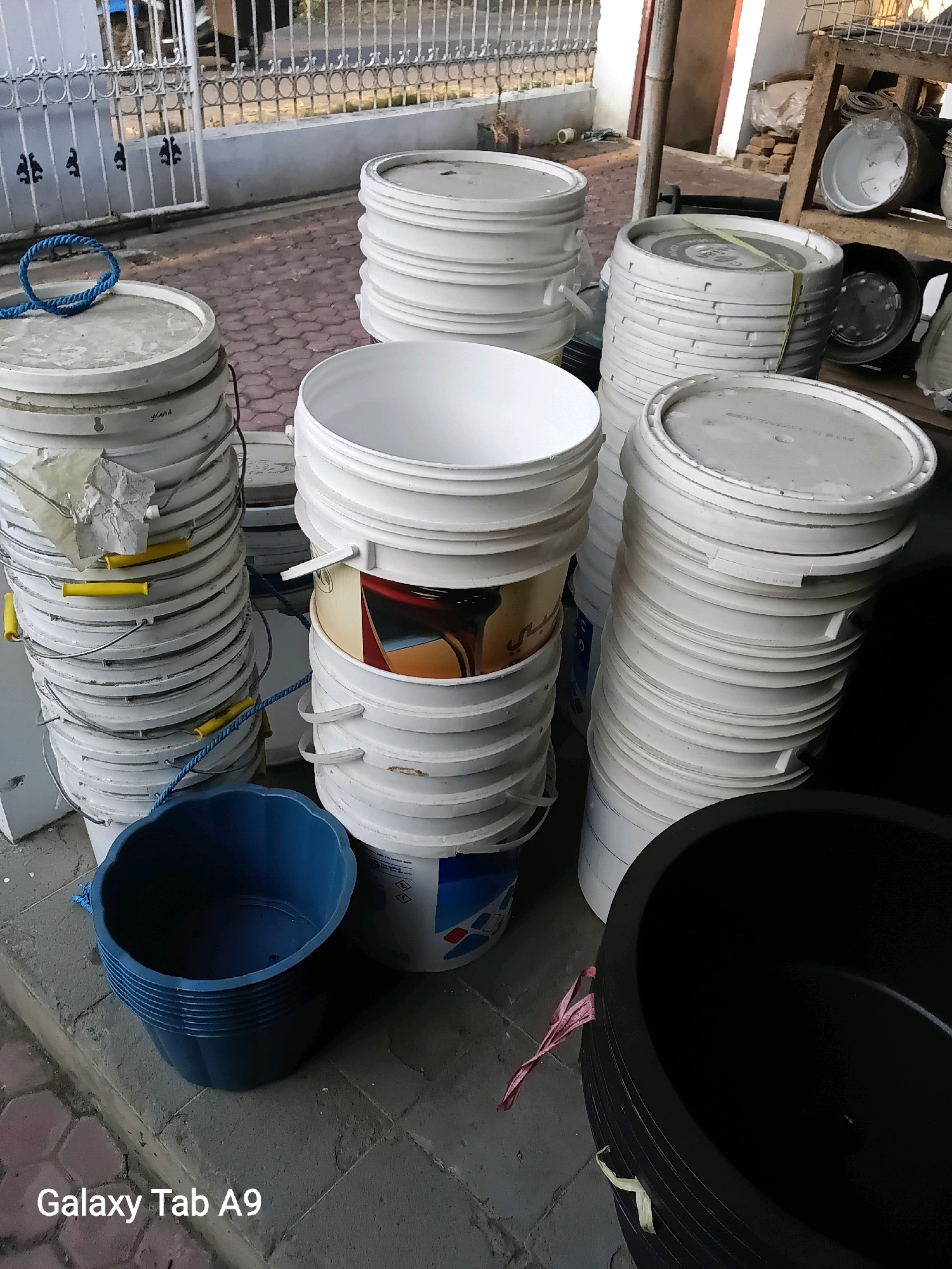 The image depicts an outdoor storage area, likely in Ngulanwetan, Indonesia, filled with stacks of white plastic buckets. The buckets are of varying sizes and appear to be empty. Some buckets are stacked high, reaching close to waist height, while others are more sparsely piled. A blue plastic bucket is visible in the foreground, and a large black plastic basin is to the right. A blue rope is draped over one of the bucket stacks. In the background, a white metal fence separates the area from a paved walkway. The overall impression is one of an organized, yet somewhat cluttered, storage space for these common containers. There are no people or animals visible in the frame. The ground is a mixture of concrete and patterned paving stones.