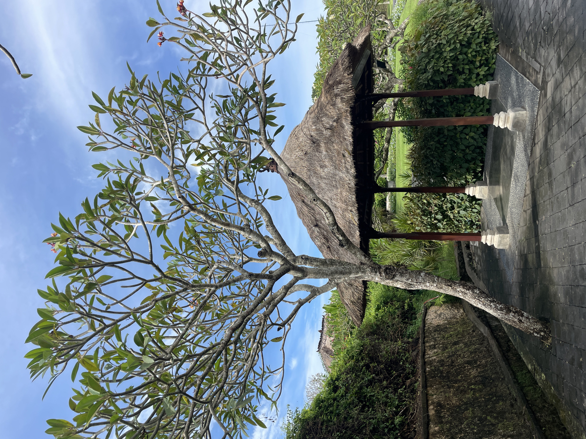 The image depicts a scene in Kuta Selatan, Indonesia, featuring a frangipani tree in the foreground against a clear blue sky with wispy clouds. The tree is partially in bloom with a few red flowers. Behind the tree is a small pavilion or shelter with a thatched roof supported by wooden pillars resting on stone bases. The pavilion is surrounded by lush greenery, including various plants and shrubs. A paved walkway or patio made of gray tiles is visible in the lower right of the frame. The environment suggests a tropical setting, typical of the region.