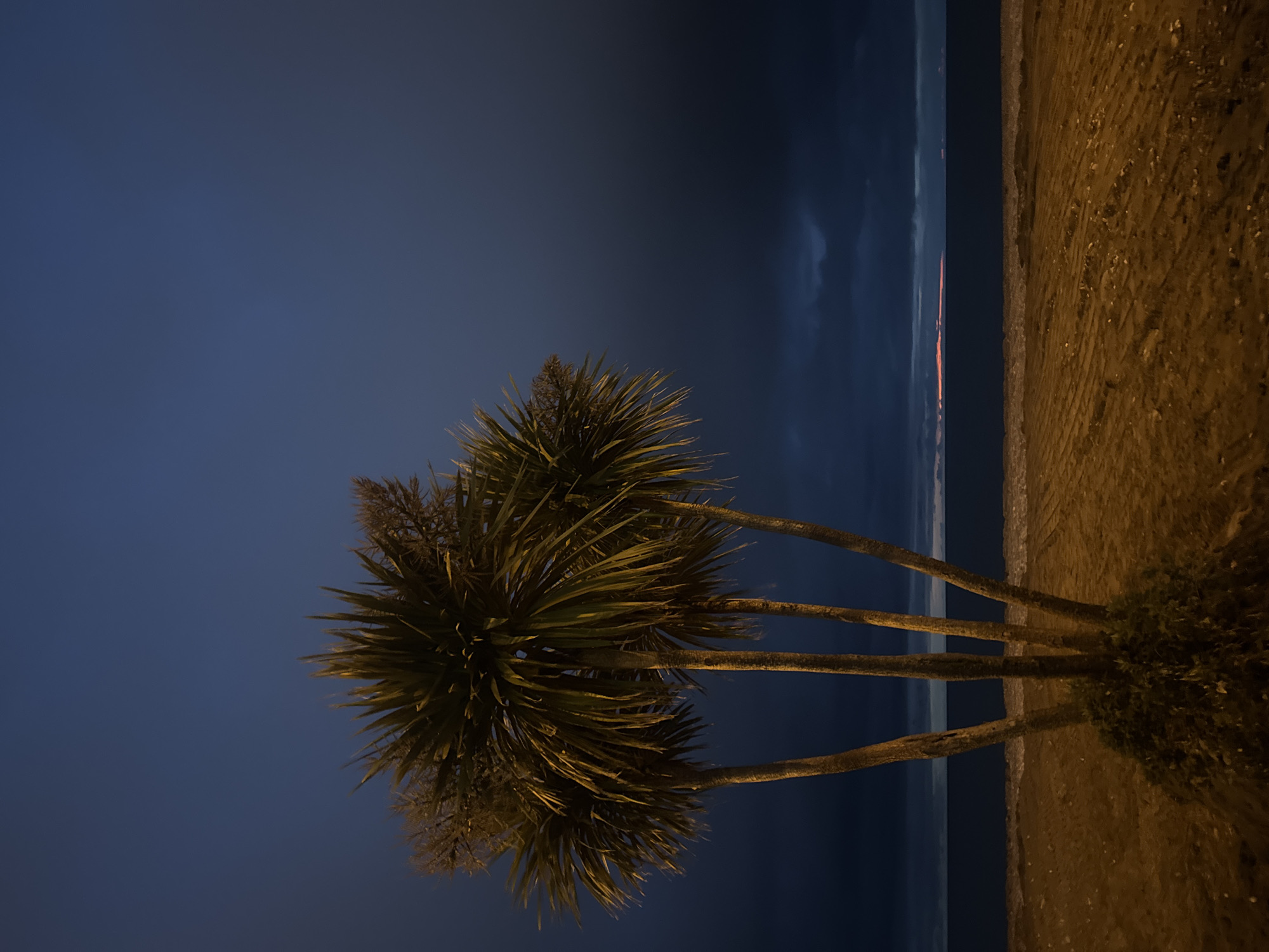 The image captures a nighttime scene at a beach in an unknown city. The foreground features a group of palm trees, with their fronds illuminated by an unseen light source, contrasting against the dark blue sky. To the right of the trees is the sandy beach, also lit by an unknown light source, with subtle textures suggesting footprints or tire tracks. The beach extends towards the ocean, which is visible as a narrow strip separating the sky from the land. A faint glow on the horizon suggests either the rising or setting sun, or artificial lighting. The overall atmosphere is calm and somewhat mysterious, due to the darkness and the unknown location.