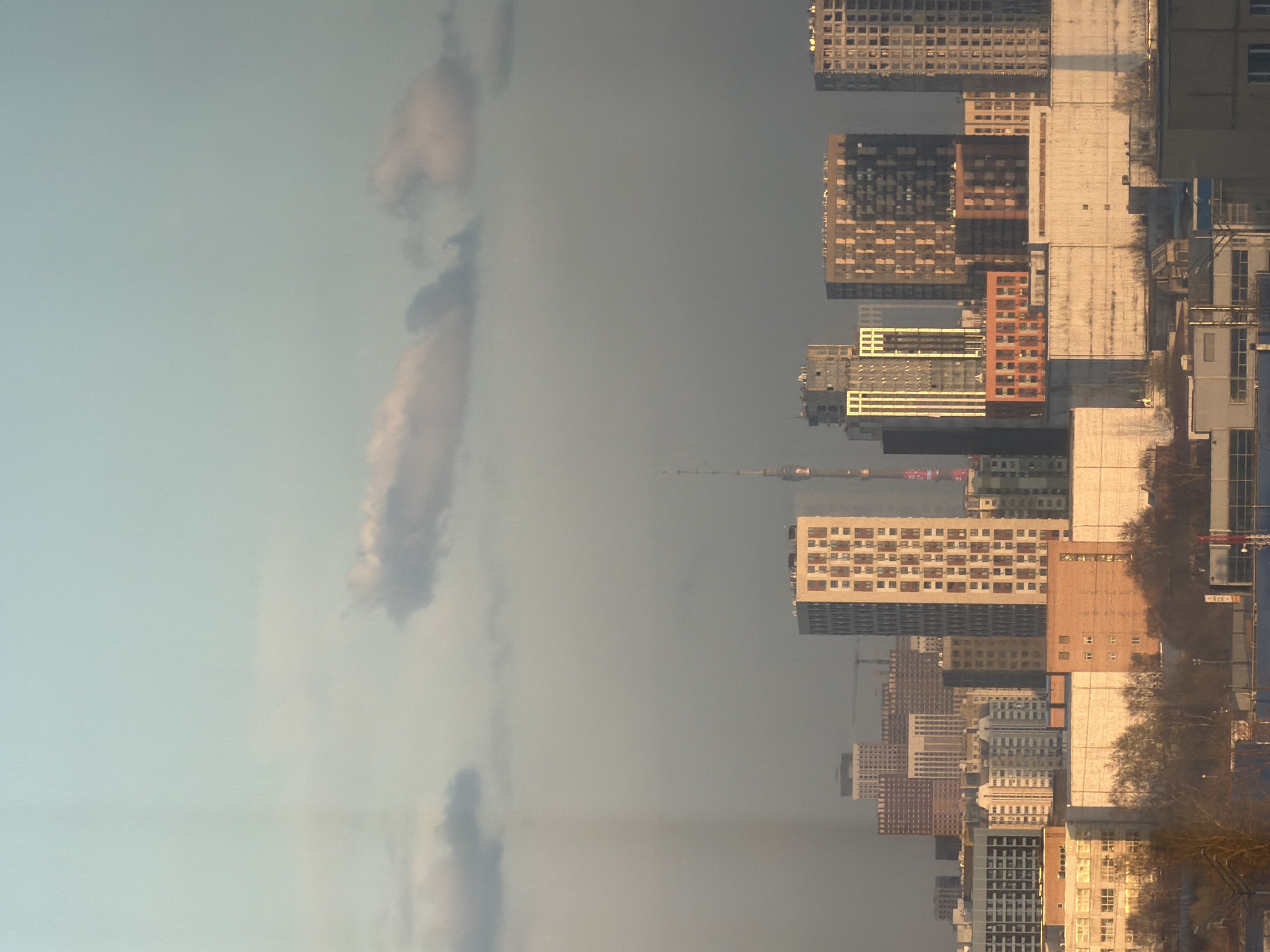The image depicts a cityscape of Khimki, Russia, viewed from a low angle. The skyline is dominated by tall residential buildings of varying heights, designs, and colors. A large, grayish sky occupies the left half of the image, with wispy clouds forming a vertical streak. The right half is dense with architecture, featuring a mix of modern and older buildings. In the distance, a tall tower, possibly the Ostankino Tower, is visible. In the lower right corner, bare trees indicate a transition to winter or early spring. The overall scene is shrouded in a slightly hazy atmosphere.