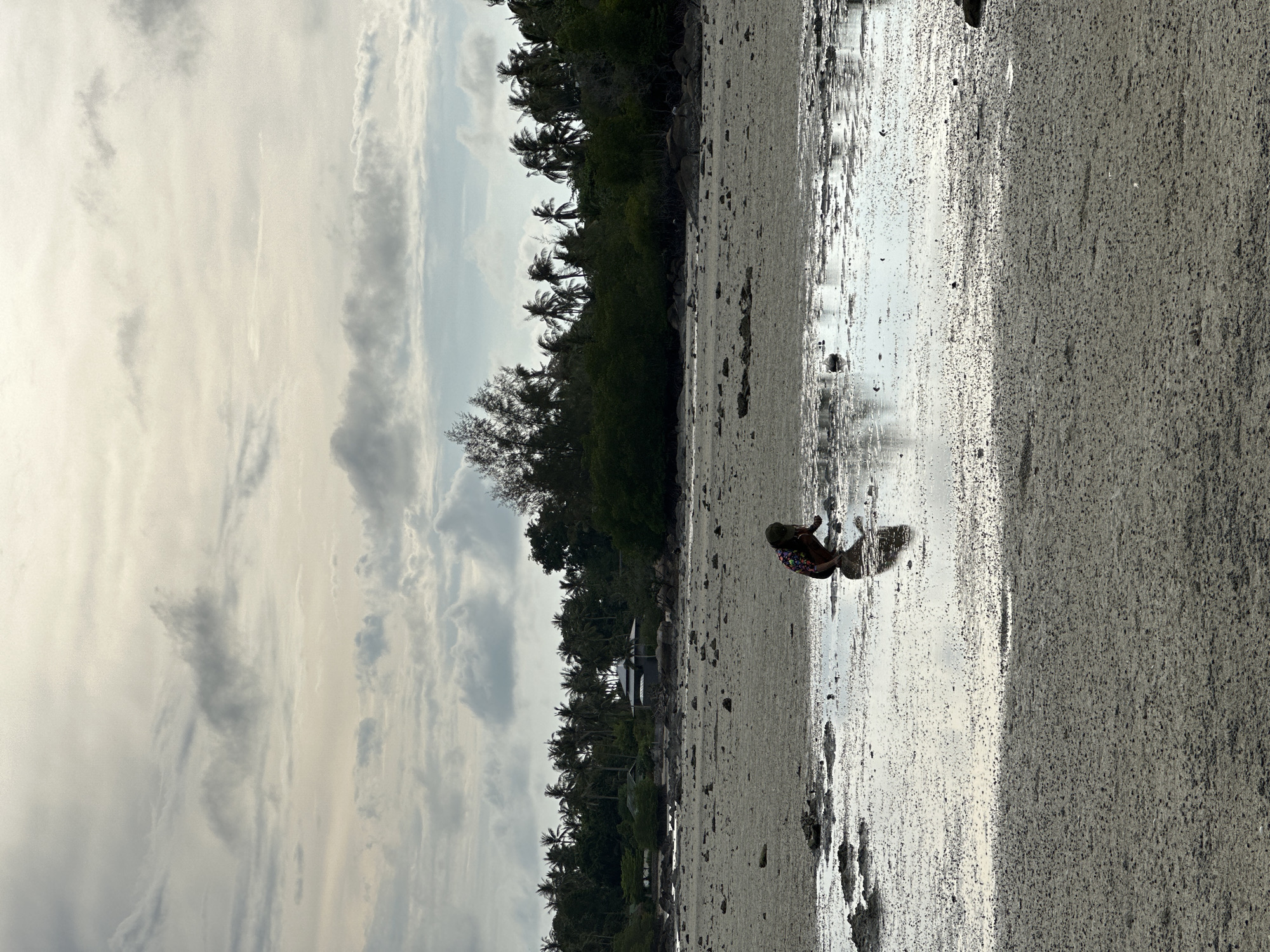 The image depicts a beach scene in ตำบลเกาะพะงัน, Thailand. The tide is out, revealing a wide expanse of sand, reflecting the sky. Along the shoreline are dense rows of palm trees and other vegetation. A single person stands on the beach, seemingly interacting with the wet sand. The sky is overcast with patches of light.