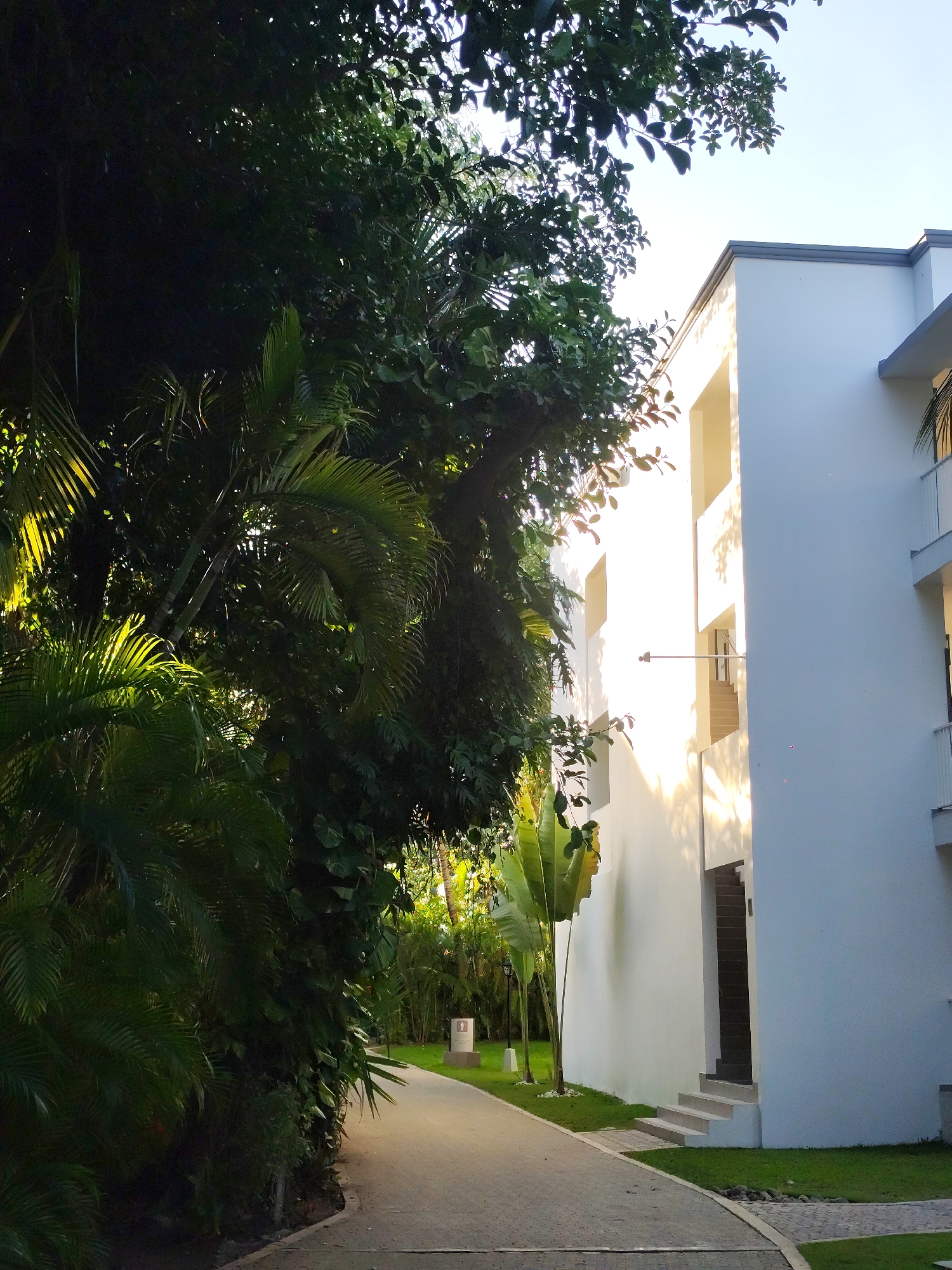 The image depicts a pathway beside a white building with dense tropical vegetation in Playa del Carmen, Mexico. The pathway, paved with light-colored stone, curves slightly to the left and is lined with lush greenery on one side. Tall palm trees and various tropical plants obscure much of the scene. A multi-story white building stands on the right, with sunlight casting shadows on its facade. Stairs lead up to a dark doorway in the building's side. Green grass borders the pathway and the building's base. The overall scene appears peaceful and tropical.