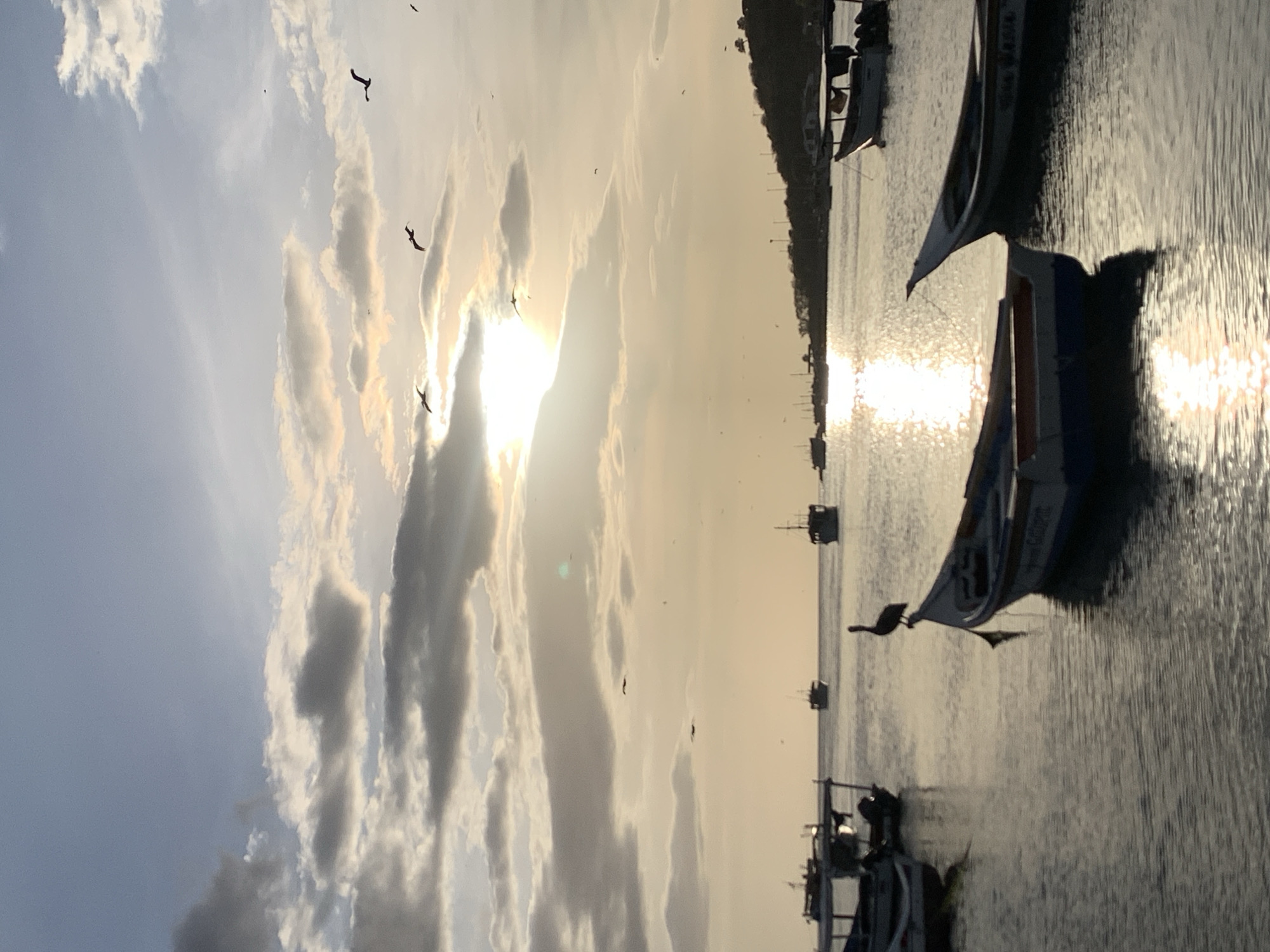 A group of boats is moored in the calm waters of Juan Griego, Venezuela, at sunset. The sun is low in the sky, casting a warm golden light across the scene and creating a shimmering reflection on the water. In the foreground, several small fishing boats are visible, some with their sails furled. A lone pelican stands perched on the bow of one of the boats, silhouetted against the bright sky. In the distance, larger vessels and a hilly coastline with scattered buildings are discernible. Several birds are flying in formation across the sky, adding to the serene atmosphere of the coastal town.