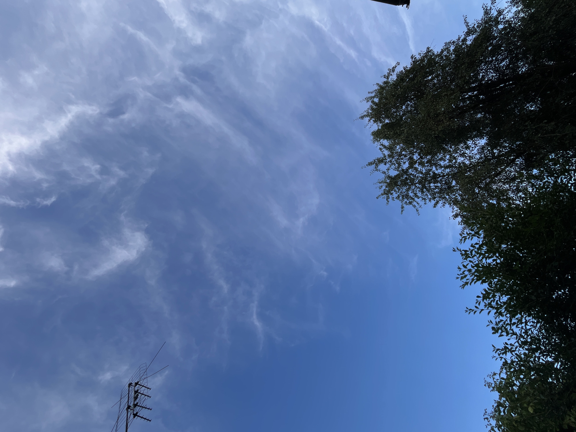 The image shows a blue sky with wispy white clouds. In the upper left quadrant, a television antenna is visible. The lower portion of the image is filled with the dark green foliage of trees. The scene is likely an outdoor setting in Lviv, Ukraine, given the details provided in the prompt. There are no people or discernible actions depicted.