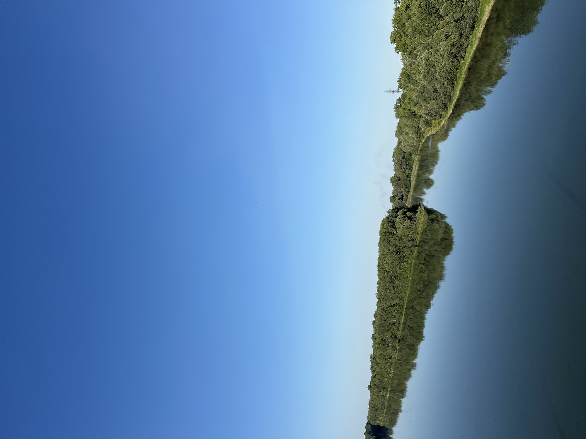 The image depicts a wide, calm river flowing through a landscape dominated by lush green trees lining its banks. The sky above is a clear, vibrant blue, with no clouds visible. The water reflects the dense foliage of the trees, creating a mirrored effect. In the distance, a few power lines and a tall tower can be seen emerging from the treeline, indicating some level of human infrastructure. The scene appears peaceful and natural. This location is identified as the Biysk, Russia.