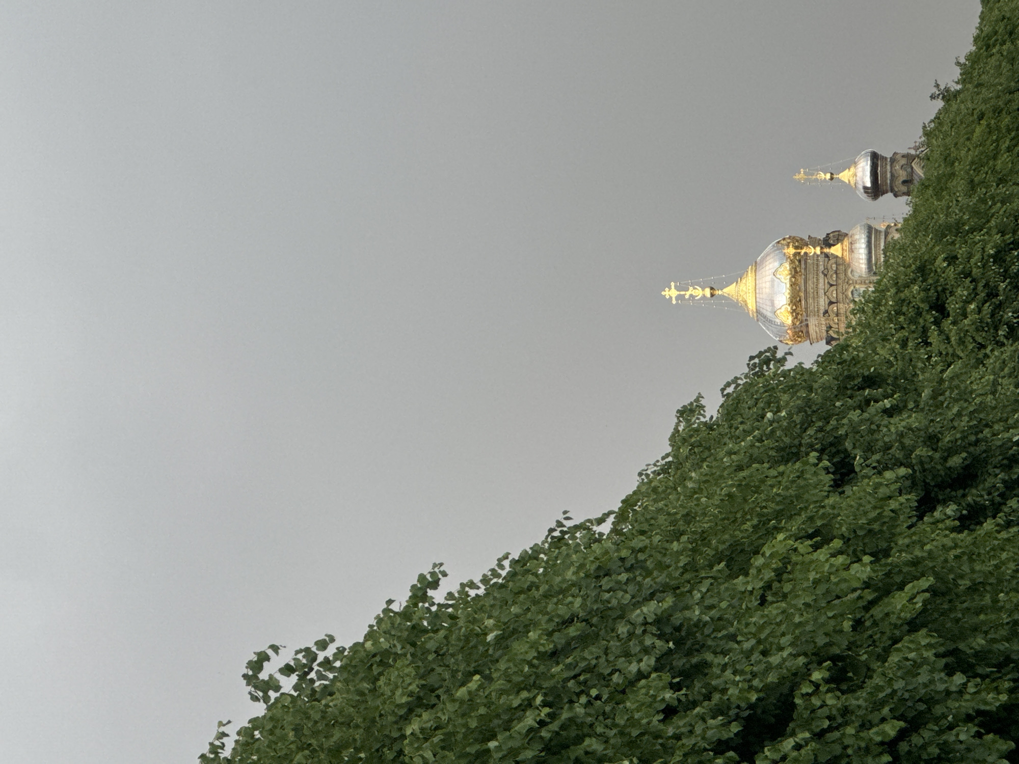 The image shows a view of the domes of the Vosnesensky Orthodox Cathedral in St. Petersburg, Russia, partially obscured by a lush green tree in the foreground. The sky is overcast and grey, suggesting a cloudy day. The cathedral's golden domes and crosses gleam against the muted sky, reflecting the light. The tree's dense foliage creates a diagonal line across the left side of the frame, leading the eye towards the architectural elements of the cathedral. The overall scene captures a moment of serene, perhaps slightly somber, urban landscape.