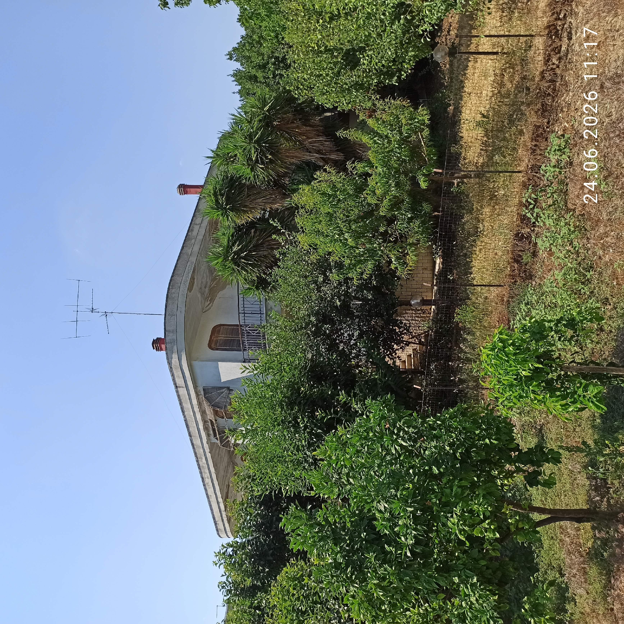 The image depicts an outdoor scene on a clear, sunny day, likely in Bitonto, Italy, given the contextual information. The primary subjects are a white, multi-story building with a curved roofline, surrounded by lush green foliage and trees. On the roof, two red brick chimneys are visible, and an antenna is mounted on the side of the building. The building's architecture suggests it may be residential.
The scene appears to be set in a garden or yard area. A wire mesh fence runs along the right side of the image, separating the property from a patch of dry, grassy land. Small green plants are growing in this area. The overall impression is one of a tranquil, semi-rural setting.
Notable details include the clear blue sky, indicating good weather, and the time of day, suggested by the bright sunlight and the shadows cast. The image is oriented vertically, with the sky at the top and the ground at the bottom. There is visible text in the image, "24.06.2026 11:17," which appears to be a timestamp. No human activity is directly depicted.