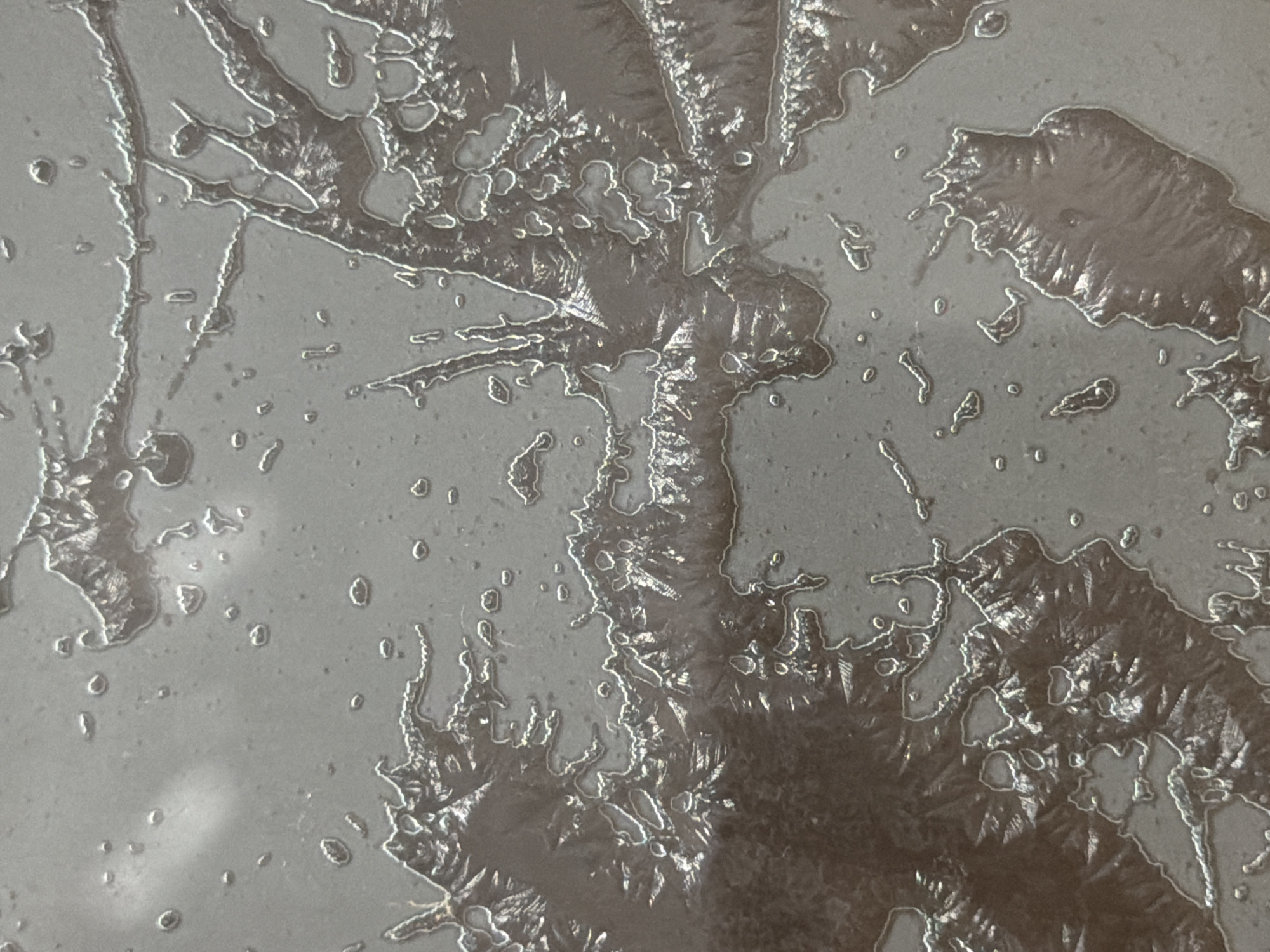 The image displays a close-up, abstract view of frost patterns on a smooth, grey surface. The frost forms intricate, branching structures with a crystalline appearance, interspersed with small, round droplets. The background is a uniform grey, suggesting a window or a similar flat, cool surface. There are no people, animals, or distinct objects visible. The lighting casts subtle shadows and highlights on the frost, emphasizing its delicate texture. The overall impression is one of natural artistry formed by extreme cold. This image is not identifiable as being located in Arcahueja, Spain, as it lacks any discernible landmarks or environmental context that would place it in a specific city or region.