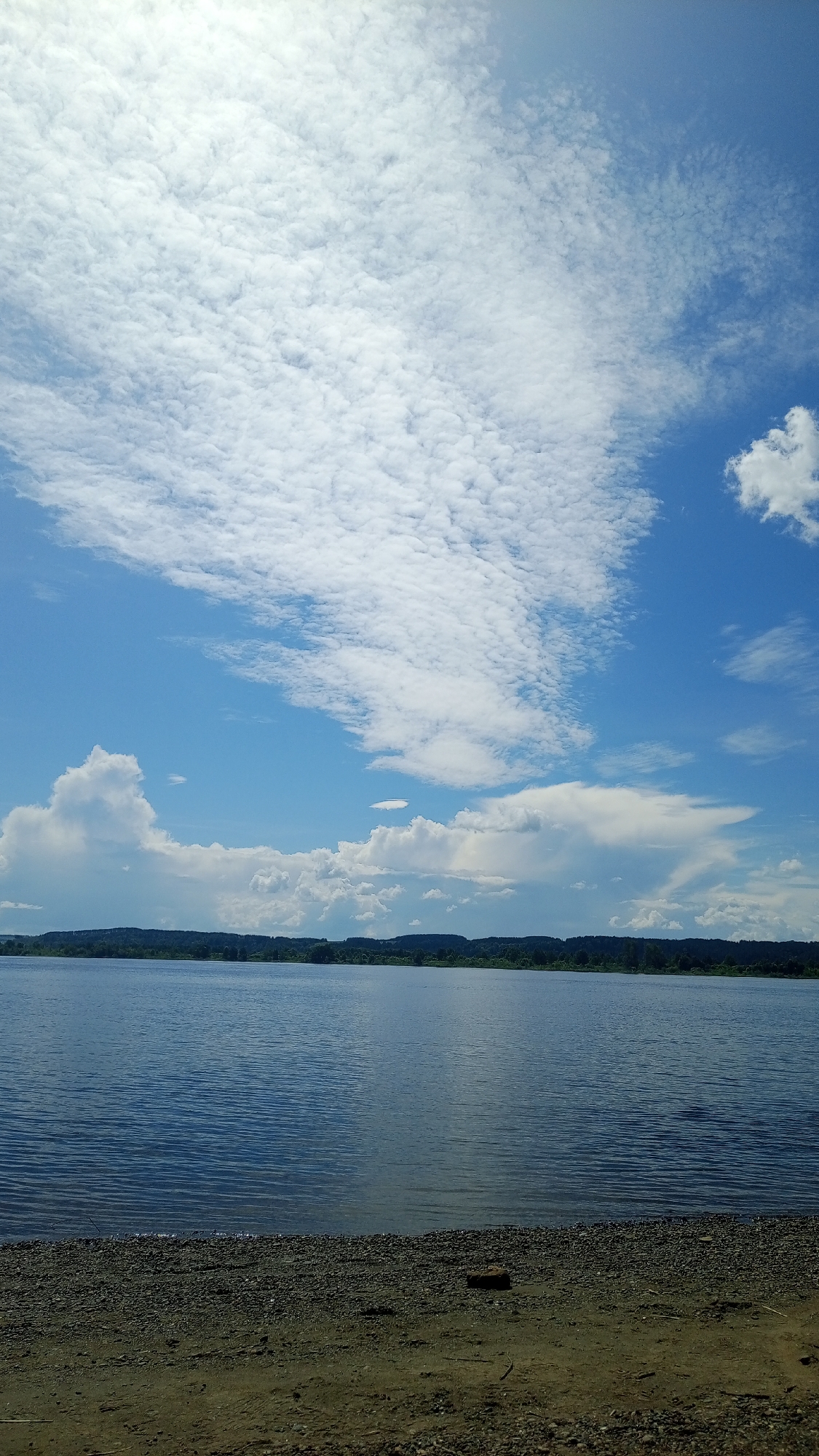 The image displays a panoramic landscape view over a large body of water in Шолья, Russia, under a bright, partly cloudy sky. The sky occupies the upper two-thirds of the frame, featuring extensive patches of white, rippled altocumulus clouds that transition to larger cumulus formations, including a significant, somewhat flat-topped cloud on the mid-right horizon. The dominant color of the sky is bright blue, with patches of lighter intensity in the upper left, suggesting the sun's position. Below the sky, a wide expanse of dark blue water fills the middle ground, exhibiting subtle ripples across its surface. The water meets a distant, dark green tree line or low hills, forming a natural horizon. In the foreground, approximately the bottom 15% of the image, lies a narrow strip of shoreline composed of dark, moist earth mixed with numerous small, dark grey and brown pebbles. A single, reddish-brown, rectangular object, possibly a brick or stone, rests on the sandy portion of the shoreline slightly right of center. No human figures, animals, or artificial structures are present in the immediate foreground or water. The scene is illuminated by natural daylight.