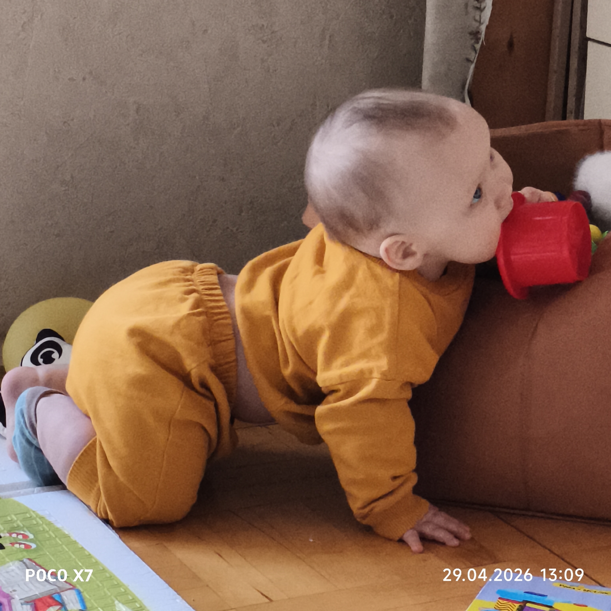 An indoor, eye-level shot captures a baby in a crawling or kneeling position, facing right, within what appears to be a home setting in Chaikovsky, Russia. The baby, with light-colored hair and blue eyes, is dressed in a mustard yellow long-sleeved top and matching pants, with light blue socks or booties on their left foot. They are leaning against a brown upholstered piece of furniture, possibly a sofa armrest, and are holding a red plastic cup or small bucket up to their mouth, appearing to explore or play with it.
The floor beneath the baby is wooden. A colorful playmat or large illustrated book, with green and abstract patterns, is visible in the foreground. A section of the playmat in the bottom left features an illustration of red shoes. To the left, behind the baby, a yellow plush toy with a distinct black and white eye peeks out. The background wall is textured and light brown or greyish, with some exposed wooden elements and a piece of fabric or paper visible in the upper right.
The baby's expression suggests focus and engagement with the red cup. Visible text overlays indicate "POCO X7" in the bottom left corner, identifying the camera model. In the bottom right corner, the date and time "29.04.2026 13:09" are displayed, showing the photo was taken on April 29, 2026, at 1:09 PM.