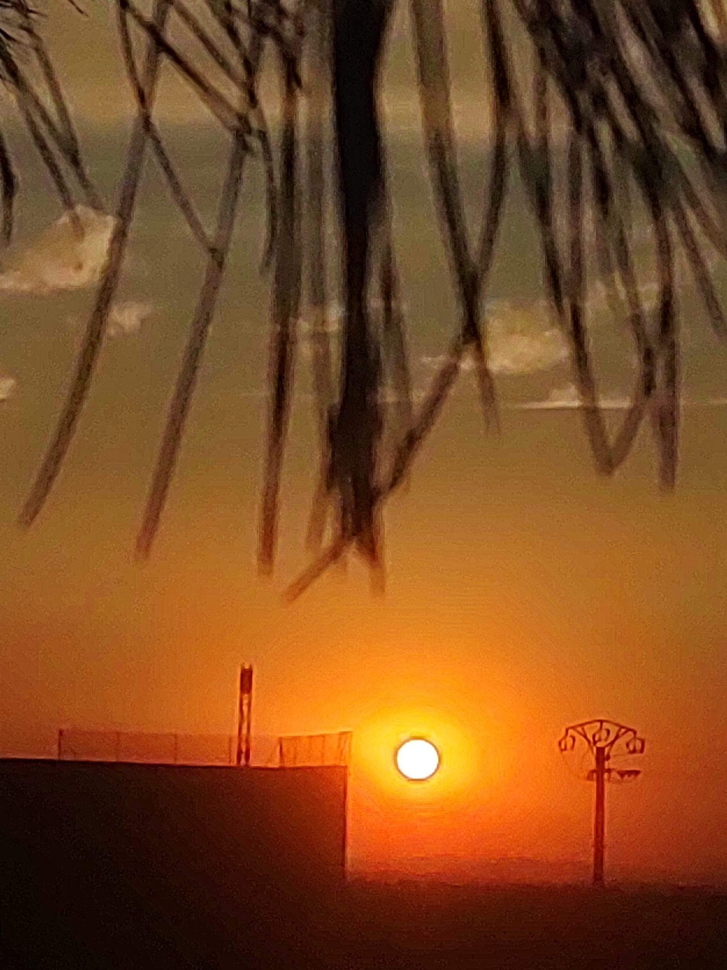 The image depicts a sunset over the city of Sobradillo, Spain, as seen through palm fronds. The sun, a bright white orb, is low on the horizon, casting an orange glow across the sky. In the foreground, the dark silhouette of a building or structure is visible, with a railing along its top. To the right of the building, a solitary light pole with multiple arms stands against the vibrant sunset. The sky above is a gradient of orange and yellow, with wispy clouds. The overall impression is one of a serene evening in a Spanish landscape.