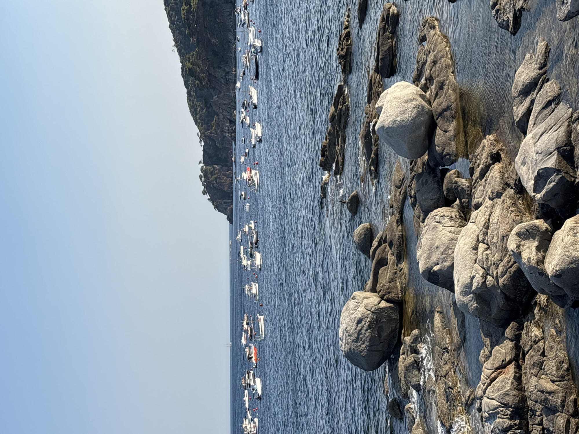 The image depicts a coastal scene in Calella De Palafrugell, Spain. In the foreground, a rocky shore with several large, rounded boulders is visible, partially submerged in clear blue water. The rocks are weathered and gray, with some areas showing smooth, water-worn surfaces. Small waves are gently lapping at the shore.
In the middle ground, a calm sea is dotted with numerous small boats, mostly motorboats and some sailboats, anchored or moored in a bay. The boats are white and various shades of blue, with some red buoys visible among them. The water in the bay is a deeper blue than the shallows.
In the background, a lush green, tree-covered hillside rises from the sea, forming a headland. The sky above is a clear, pale blue, suggesting a sunny day. The overall impression is one of a tranquil Mediterranean harbor. There are no people visible in the image.