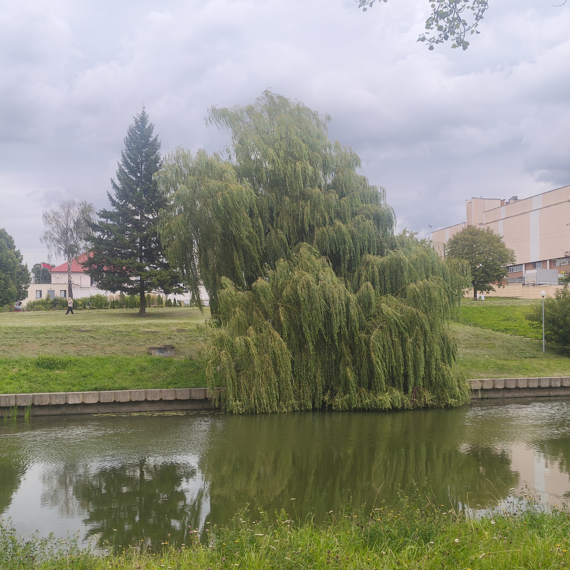 The image depicts a canal bordered by a grassy embankment and a stone retaining wall. A large weeping willow tree dominates the foreground, its branches cascading towards the water. The canal's surface reflects the overcast sky and the surrounding foliage. On the embankment behind the willow, a person is walking. Further back, there are several trees, including a tall evergreen, and buildings. The architecture of the buildings suggests an urban setting, with one building featuring a light peach facade and white vertical accents, characteristic of some modern construction in Minsk, Belarus. The overall scene is one of a park or green space adjacent to a body of water within a city.
