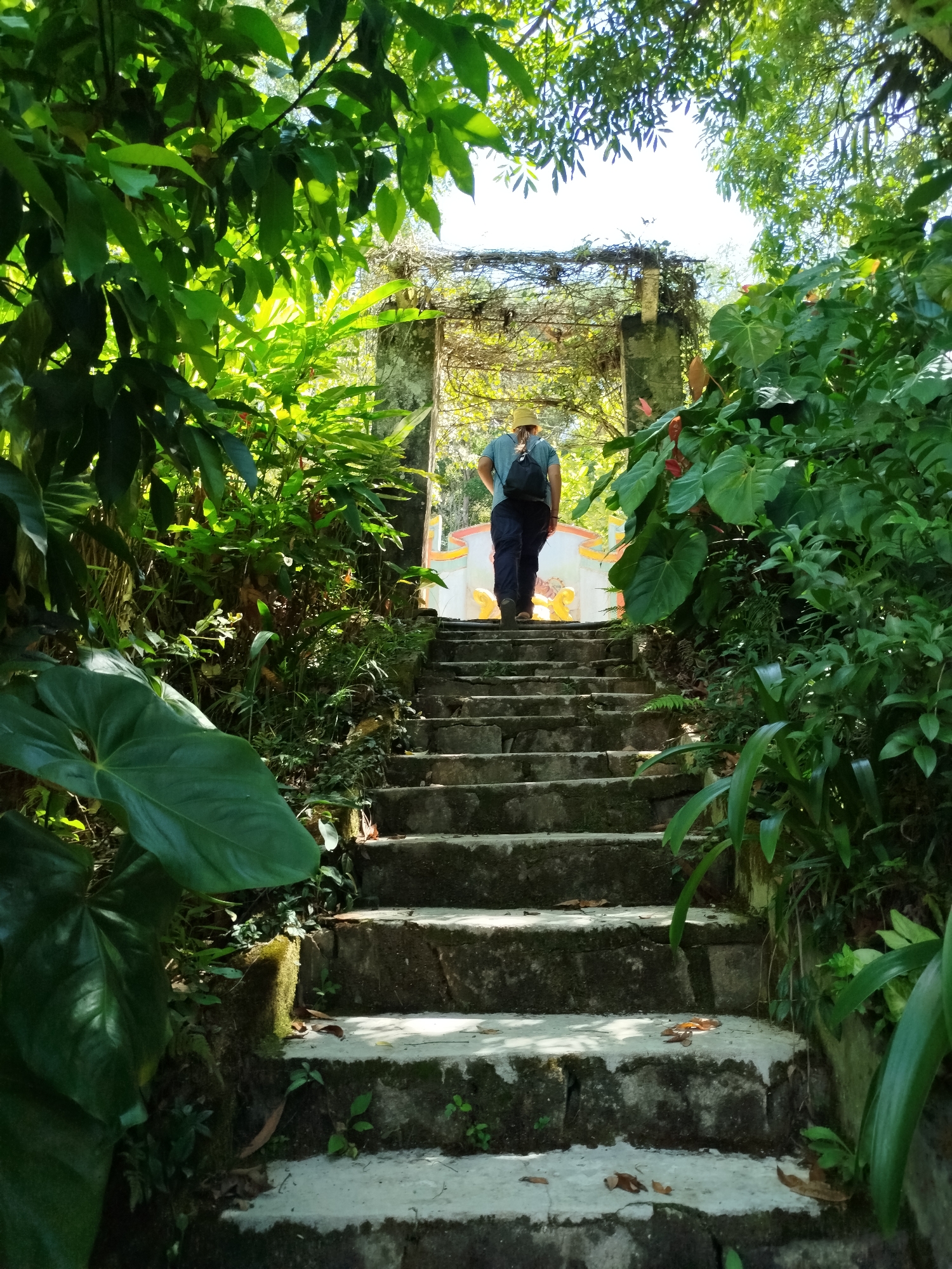 A low-angle, full shot depicts a person walking up a set of concrete stairs bordered by lush vegetation. The person, seen from the back, wears a light-colored hat, a light blue shirt, dark pants, and a black backpack. They are walking away from the camera, towards the top of the stairs, under a vine-covered archway. The stairs are made of concrete and appear weathered with moss and leaf litter. The vegetation on either side includes large-leafed plants and various greenery, suggesting a tropical environment. In the distance, beyond the archway, a structure with bright colors is visible, partially obscured by the foliage. The scene is set in what appears to be a garden or park-like setting in Da Lat, Vietnam.