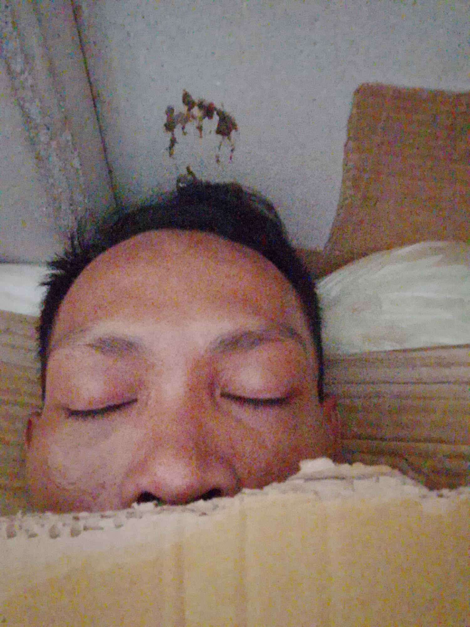 A close-up indoor shot shows a person lying down, eyes closed. The individual has dark hair. Their face is pinkish. The top portion of a beige or light-brown object, possibly a blanket or pillow, obscures the lower part of their face. Behind the head, there's a brown object and a white pillow. The wall behind has a patch of discoloration. There's no definitive indication of the scene being in Bukit Ketok, Indonesia. The presence of people, subjects, objects, actions, interactions, and environment are minimal but discernable.