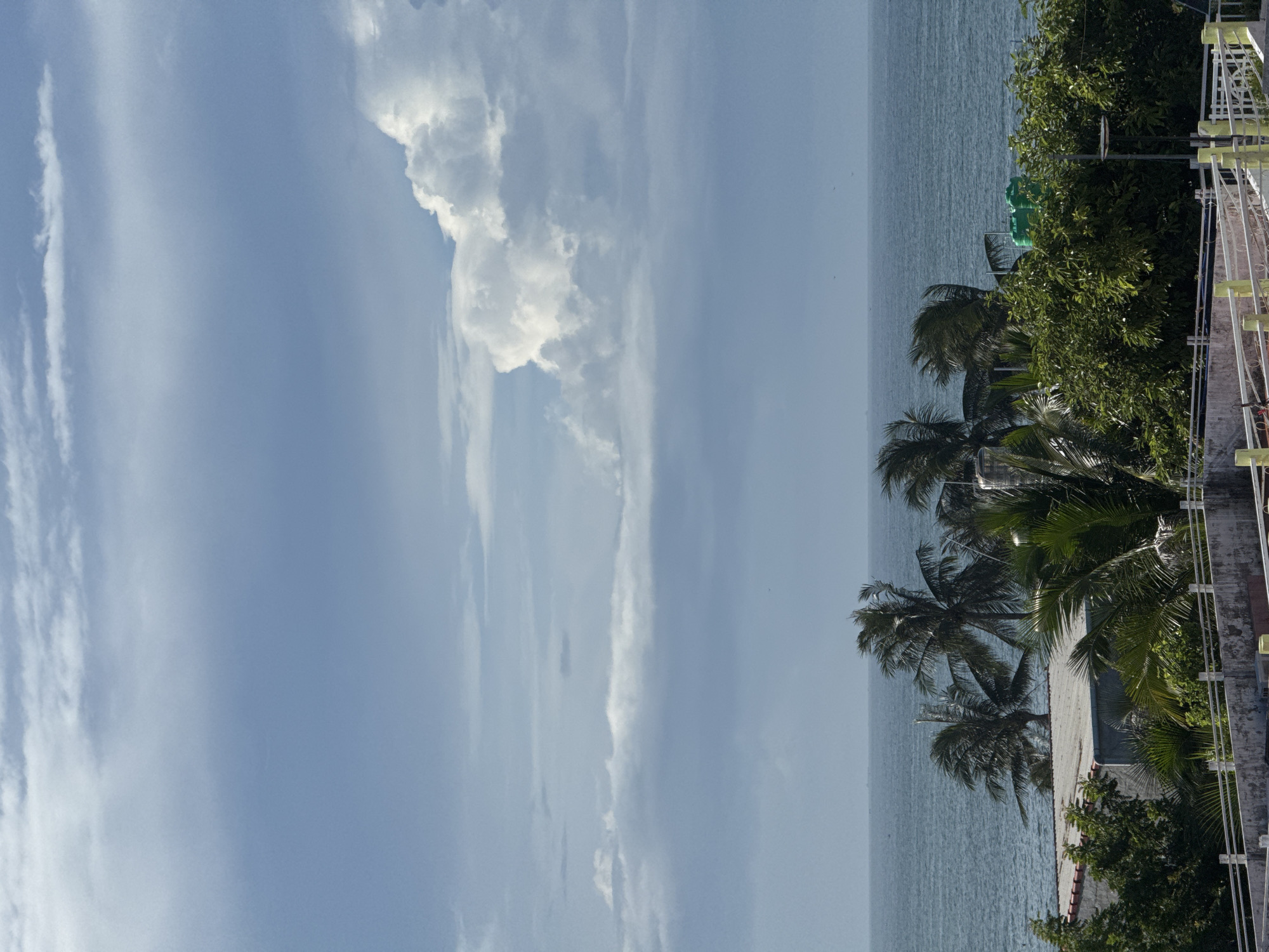 This image depicts a scene in Mũi Né, Vietnam, with a focus on the coastline and sky. In the foreground, a white railing separates the viewer from a rooftop with a light-colored surface. Adjacent to the railing are various trees, including palm trees, with lush green foliage. Partially visible structures, possibly buildings with gray and white walls, are situated behind the trees. The middle ground is dominated by the calm, blue ocean. Along the horizon, a line of palm trees stands out against the water. The sky above is a mix of blue and white, with distinct clouds, including a large, fluffy white cloud formation on the right and more diffused clouds stretching across the upper portion of the image. There are no people visible in the frame.