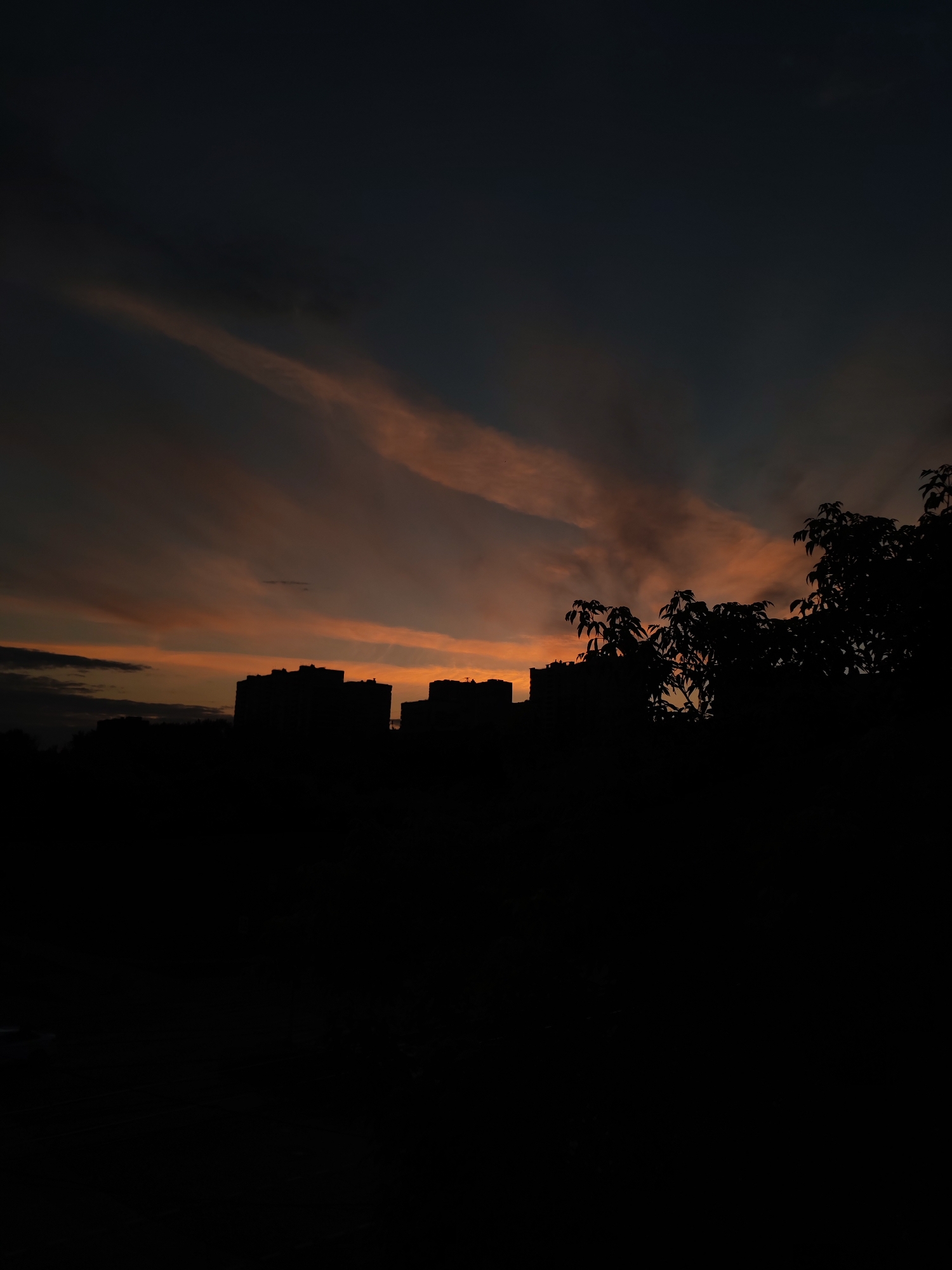 The image captures a silhouette of a city skyline against a dramatic sunset sky over Izhevsk, Russia. The lower half of the image is completely black, obscuring any ground-level details. Rising from this darkness are the dark outlines of several multi-story buildings, appearing as solid blocks against the lighter sky. To the right, silhouetted trees with distinct leaf structures interrupt the building line, suggesting a more natural element within the urban landscape. The sky is the focal point of the upper half, with streaks of orange and pink clouds stretched horizontally, indicating the last rays of sunlight. The overall atmosphere is one of twilight transitioning into night, with a moody and somber aesthetic.