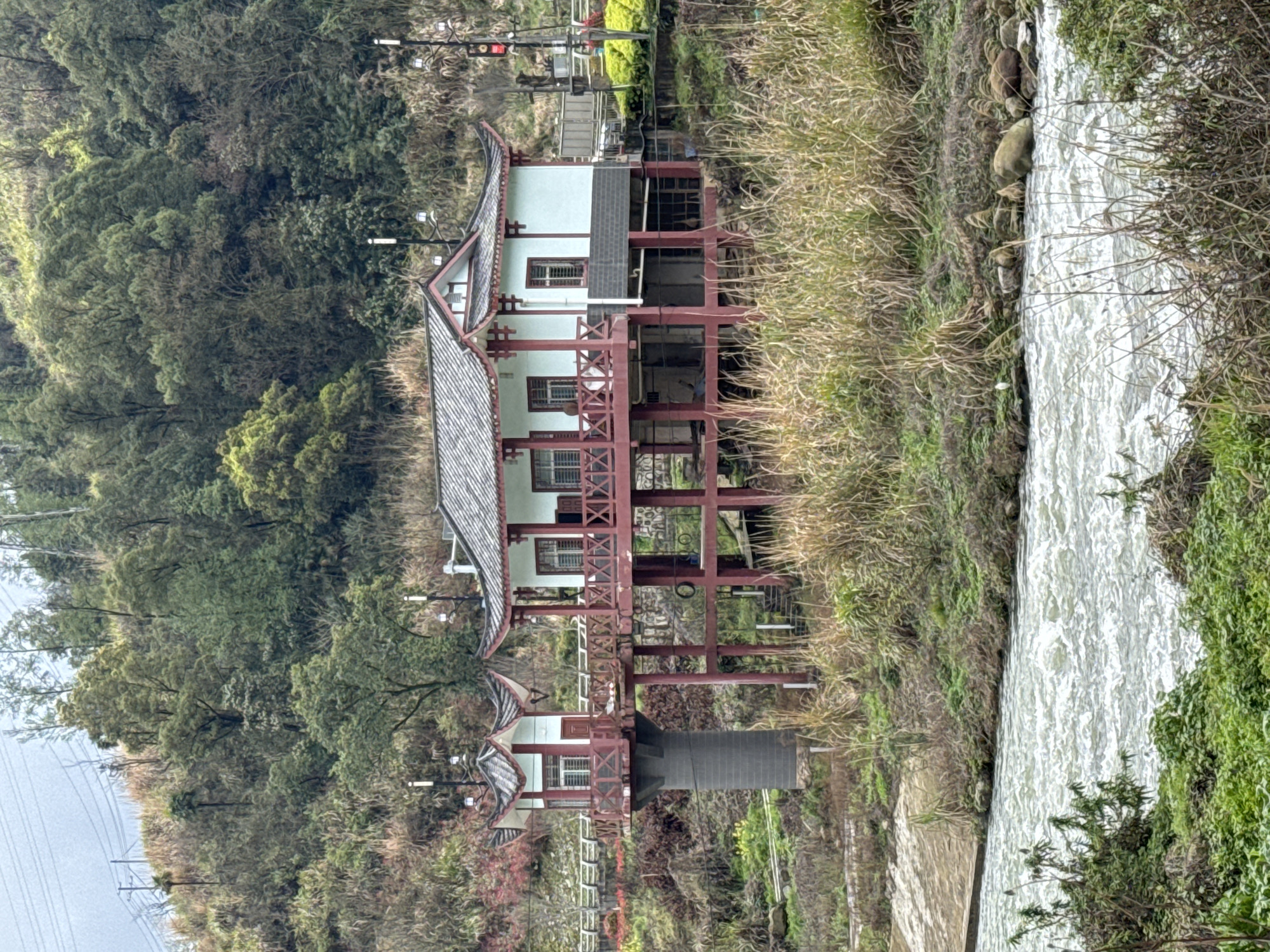 This image depicts a traditional Chinese-style building complex located on the bank of a rapidly flowing river in Wulingyuan, China, set against a densely vegetated hillside under an overcast sky. The main structure is a two-story building with light blue-green walls, dark red wooden support beams, posts, and balustrades featuring X-patterns. It has a grey tiled roof with traditional upturned eaves and multiple windows with white grilles. A smaller, single-story structure of similar design, with a matching roof and dark red trim, stands to the left, elevated on a tall, grey cylindrical concrete pillar. This smaller structure is connected to the main building by a wooden walkway with a dark red balustrade. The main building itself is partially supported by red wooden stilts above a partially open ground level. Several modern streetlights with white cylindrical tops are positioned around the buildings and along the hillside. A red traffic light is visible to the right of the main building.
The foreground features a river with white, turbulent water indicating rapids. The riverbanks are overgrown with a variety of green and brown grasses, reeds, and low-lying shrubs. Exposed rocks and stones are visible along the river's edge, and a concrete ramp descends into the water on the left bank. A small white bird is perched on the right riverbank among the rocks.
The background is dominated by a steep hillside densely covered with a mix of green deciduous and coniferous trees, interspersed with patches of reddish and dry yellowish-brown vegetation. Utility poles and power lines are visible along the upper section of the hillside on the left. A paved path or road with a white railing is discernible on the hillside behind the smaller structure. No human subjects are present in the scene.