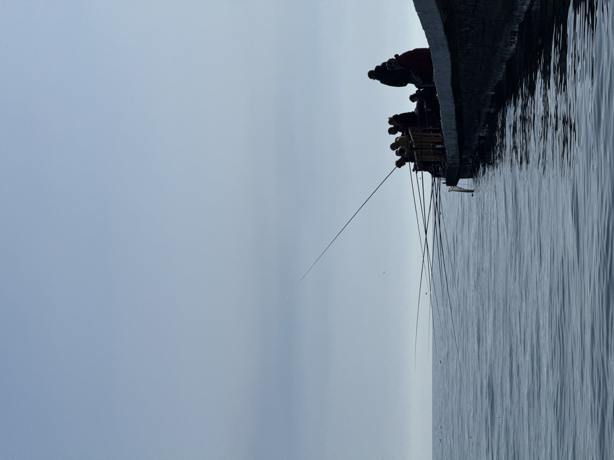 The image, presented sideways and described here in its upright orientation, captures a serene scene of a group of people fishing from a pier or bridge over a calm body of water.
On the right side of the frame, a dark, concrete structure extends horizontally, acting as the platform for the fishing activity. Along this structure, several individuals are visible as dark silhouettes against the lighter sky. They are positioned along the edge, mostly facing the water, indicating their engagement in fishing. Their specific features or emotions are not discernible due to the silhouette effect.
Multiple fishing rods extend from the pier towards the water, with their lines reaching into the tranquil blue-grey surface. One small, light-colored object, possibly a fishing net or basket, is visible near the water level close to the pier. The body of water, occupying the lower portion of the image, displays subtle, soft ripples but otherwise appears very still, reflecting the subdued light.
The sky, which dominates the upper left and central part of the image, is a uniform, soft blue-grey, suggesting an overcast day or perhaps the muted light of early morning or late afternoon. The overall atmosphere is one of peacefulness and quiet contemplation. There are no discernible location cues or visible text within the image.