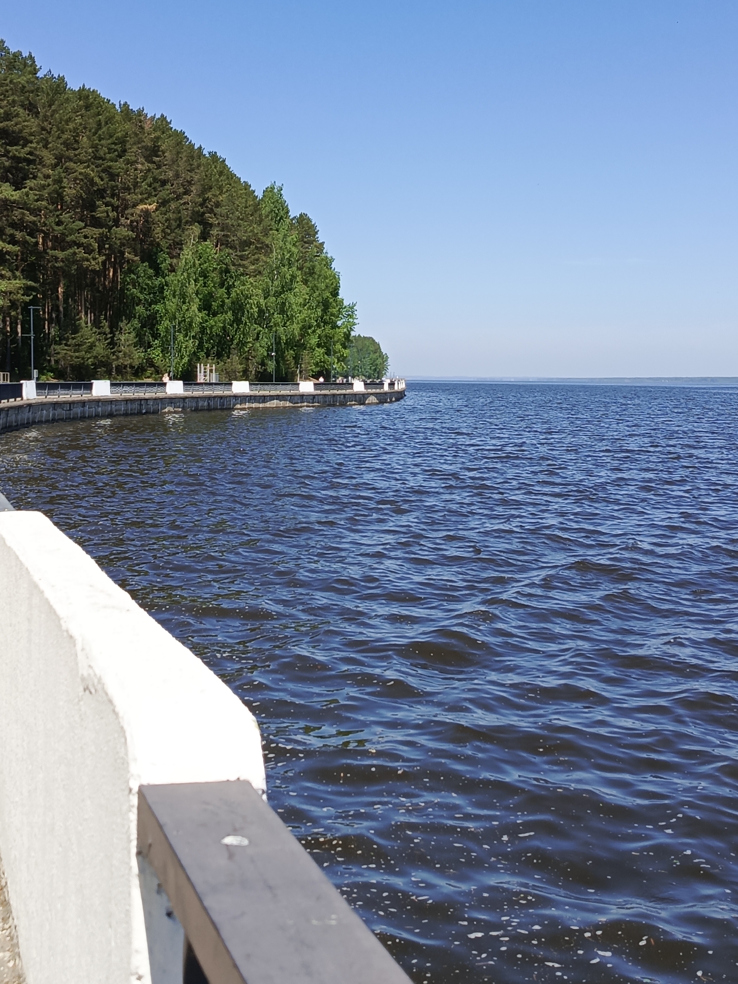The image depicts a waterfront scene in Chaikovsky, Russia. A dense forest lines the left side of the image, extending along the shore. A concrete and dark wood railing stands in the foreground. The body of water is textured with ripples and small waves, stretching towards the horizon under a clear blue sky. A concrete boardwalk with regular white blocks runs along the shoreline.