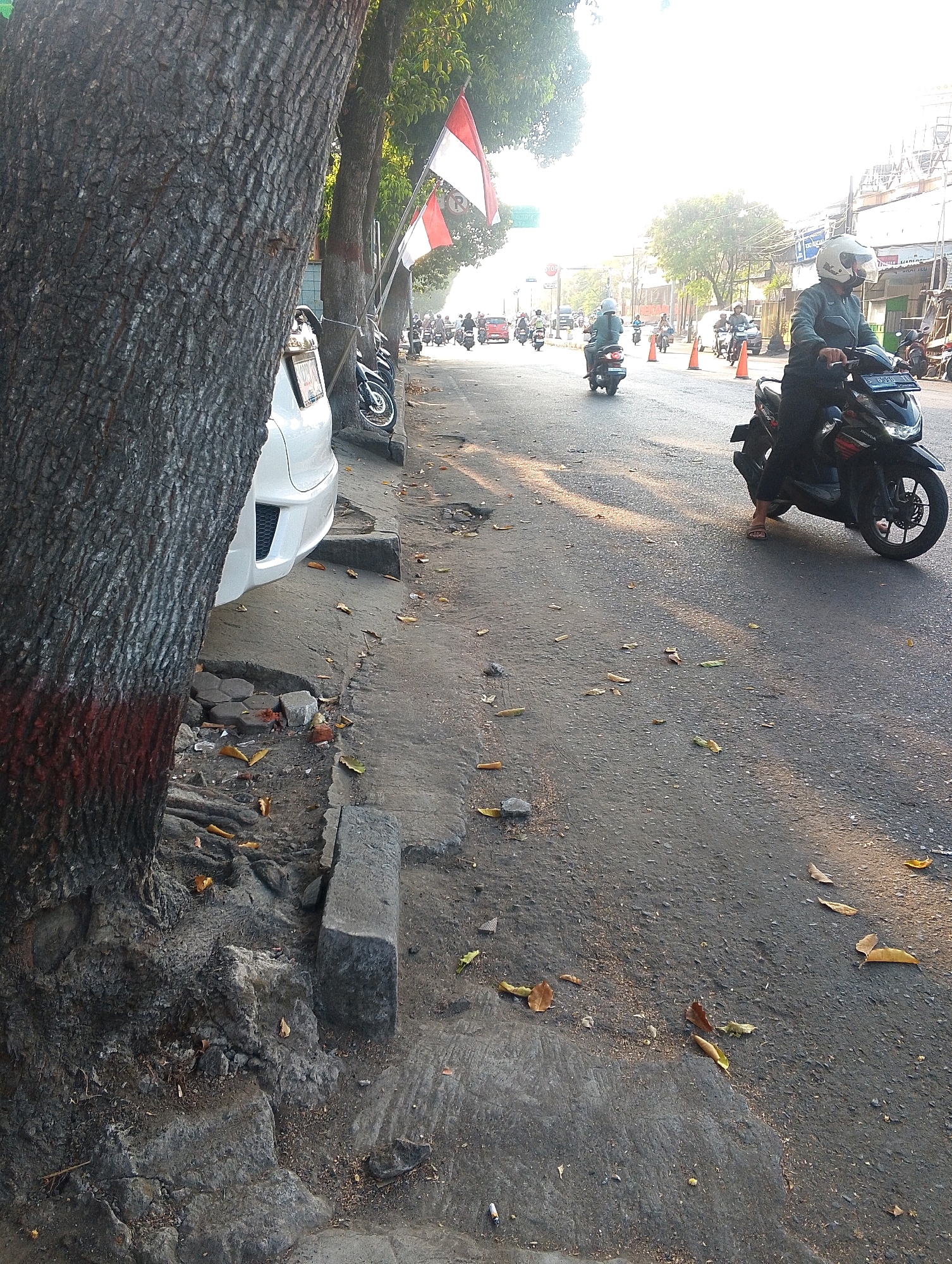 In a street scene in Unknown, Unknown, the foreground is dominated by the rough, textured bark of a large tree, with red paint markings near its base. Beside the tree, a white car is parked, its rear bumper visible. The sidewalk area is uneven, with loose stones and fallen leaves scattered on the ground. A motorcycle is parked further down the sidewalk, behind the car.
The street itself is paved and appears to be a busy road, with several motorcycles and a few cars visible in the midground and background. Many of the motorcyclists are wearing helmets. Indonesian flags are displayed on poles along the street. The lighting suggests it is either early morning or late afternoon, with long shadows cast across the road. Buildings line the street in the distance, and traffic cones are present on the roadway, indicating potential roadwork or a traffic diversion. The overall impression is of a bustling urban environment.