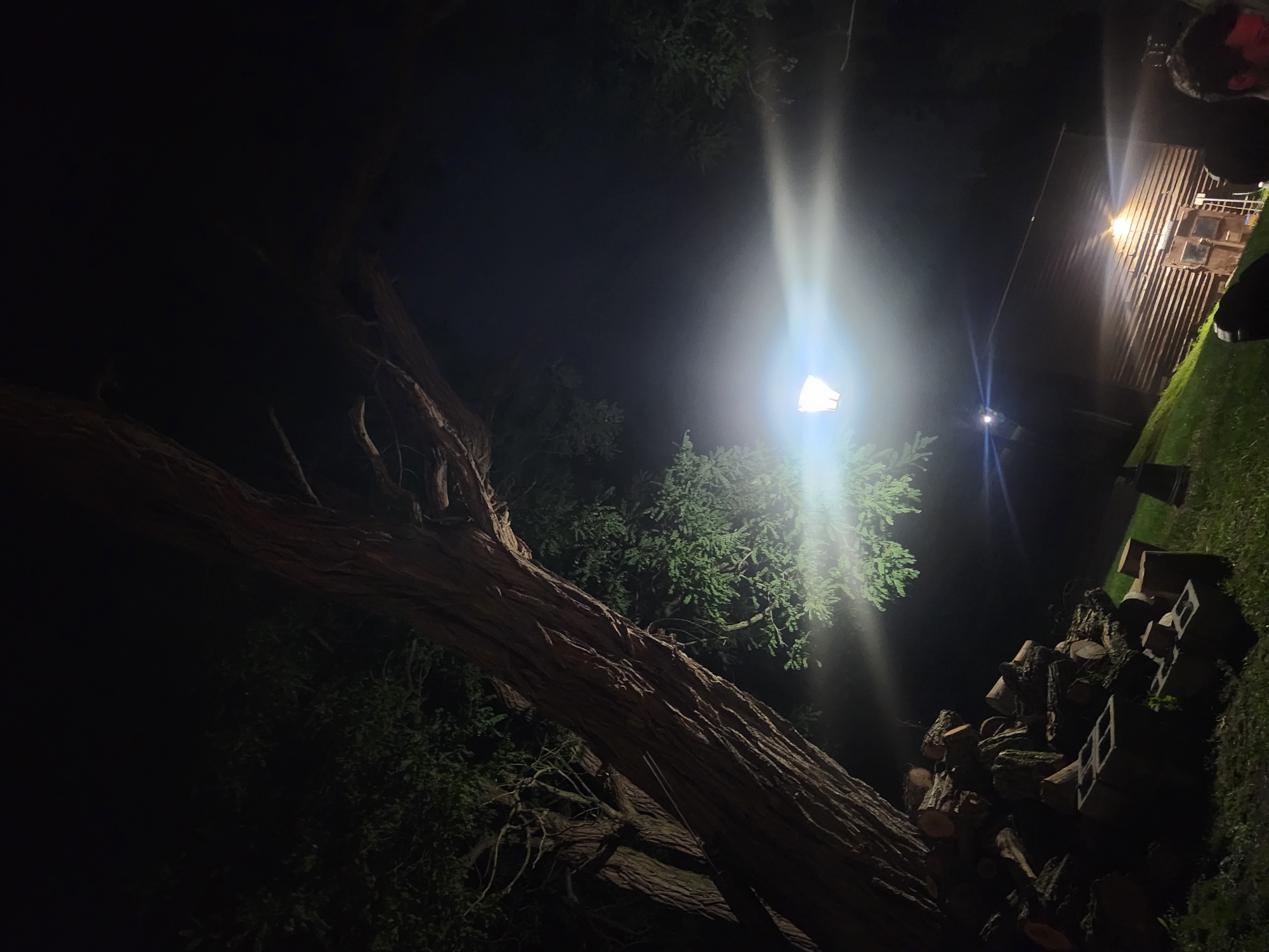 In the Town of Hoosick, United States of America, a nighttime scene unfolds under the illumination of a bright floodlight directed downwards and to the left. The light casts a strong glare, obscuring details in its immediate vicinity. To the left of the floodlight, a large tree trunk, textured and rough, dominates the frame, with its branches extending upwards and to the right. Leafy foliage is visible, illuminated by the light. In the foreground, a pile of cut logs is stacked on the ground, interspersed with concrete blocks. Further into the background, a wooden structure, possibly a shed or barn, is visible with its horizontally slatted walls and a doorway. The ground is covered in grass, which appears illuminated in patches by the light. The overall ambiance is that of an outdoor space at night, with artificial lighting playing a significant role in defining the visible elements.