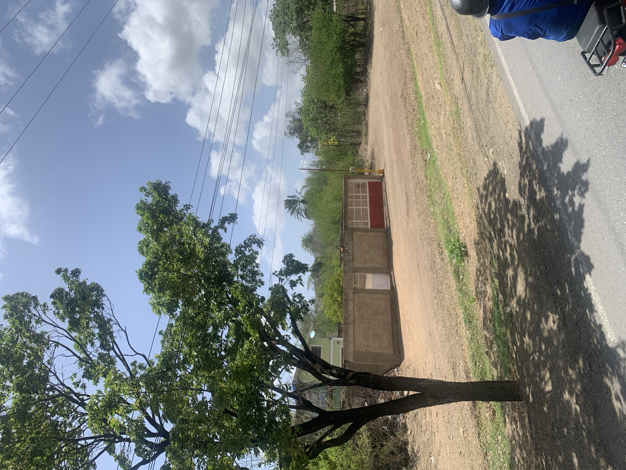 In San Juan Bautista, Venezuela, a tree with dark bark and green leaves is positioned in the foreground to the left. Behind the tree is a light green building. In front of the building is a beige concrete wall with a white gate and a red gate with white bars. The ground is a mix of dirt and gravel. Power lines are visible in the sky, along with white clouds and a blue sky. In the lower right corner, a person wearing a blue shirt and a black helmet is riding a motorcycle. The motorcycle has a black rack on the back. The road has a white line marking the shoulder.