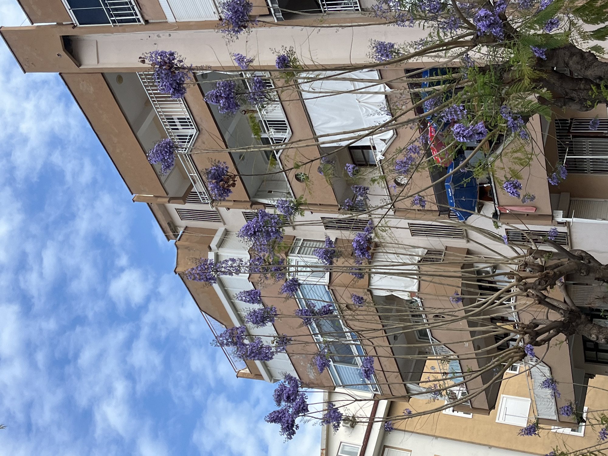 The image depicts an upward view of a multi-story building in what appears to be an urban environment. The building has a light brown facade with multiple balconies and windows. White awnings are visible over some of the windows. A tree with purple flowers, possibly a jacaranda, is in the foreground, partially obscuring the building. The sky is blue with scattered white clouds. Based on the architectural style and the presence of jacaranda trees, the location could plausibly be Alanya, Turkey. No people are visible in the image.