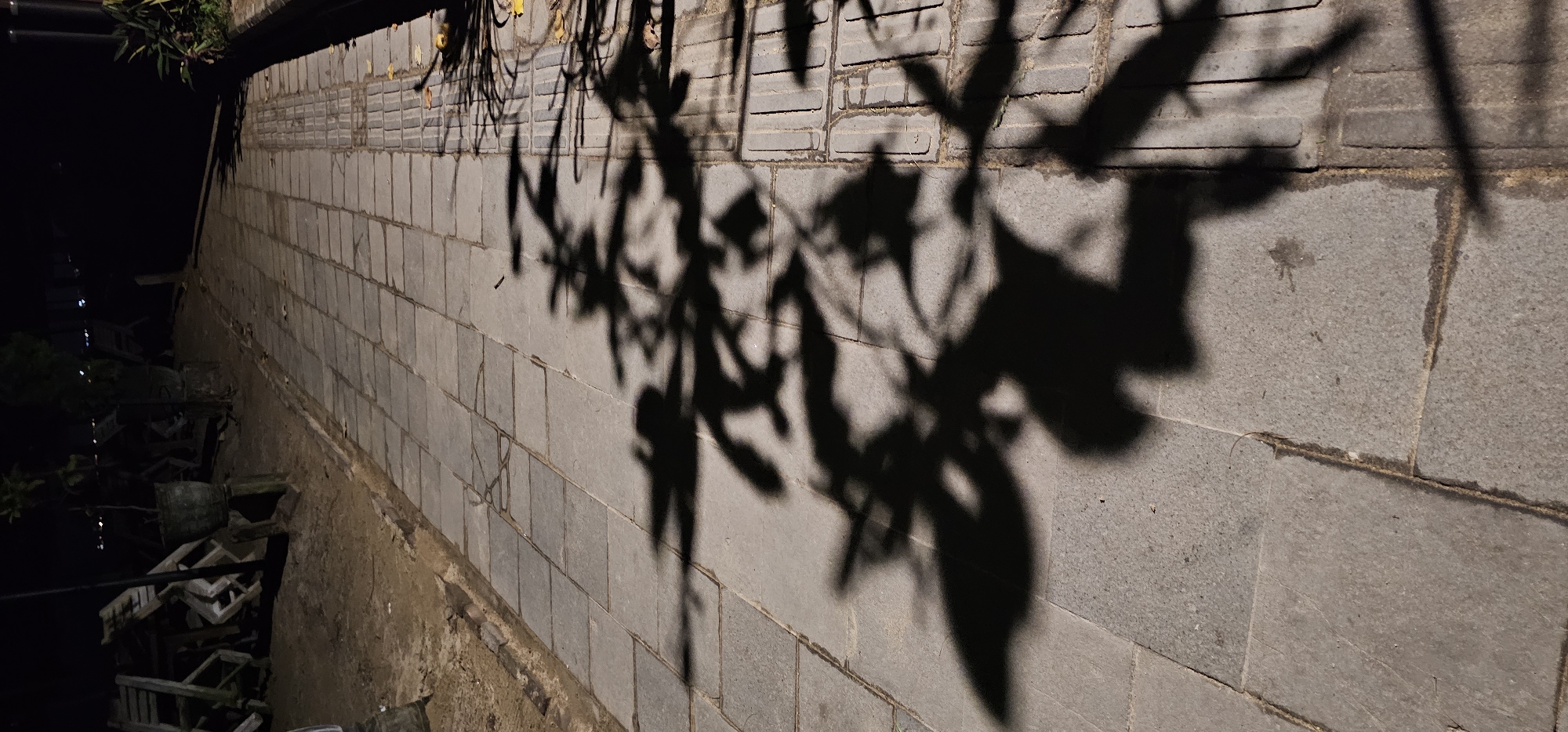 A nighttime photograph, oriented vertically, captures a textured wall and ground surface illuminated by an unseen light source, casting prominent shadows of foliage. The main subject is a wall constructed from rectangular grey blocks or tiles, which runs diagonally across the frame from the upper right to the lower left. Above this wall, at the top of the image, appears to be a darker section of pavement or another type of brickwork, where a few small, dried leaves are visible.
Strong, intricate shadows of branches and leaves are cast across both the upper and lower sections of the wall and onto the ground. These shadows reveal the delicate patterns of plant life, suggesting a tree or large bush is positioned out of frame, to the right.
The lower left portion of the image is much darker, showing a deep shadow and indistinct shapes. These shapes appear to be a collection of discarded items, possibly wooden frames, buckets, or rubble, piled up against the base of the wall. In the far distance within this dark area, faint, blurred lights suggest an urban or residential background, indicating the scene is outdoors at night.
The ground surface, visible at the bottom right, is made of larger, grey rectangular pavers with visible grout lines. The overall scene suggests a quiet, possibly unkempt, outdoor area at night, potentially in Denpasar, Indonesia, as indicated by the context. No people, discernible activities, or visible text are present.