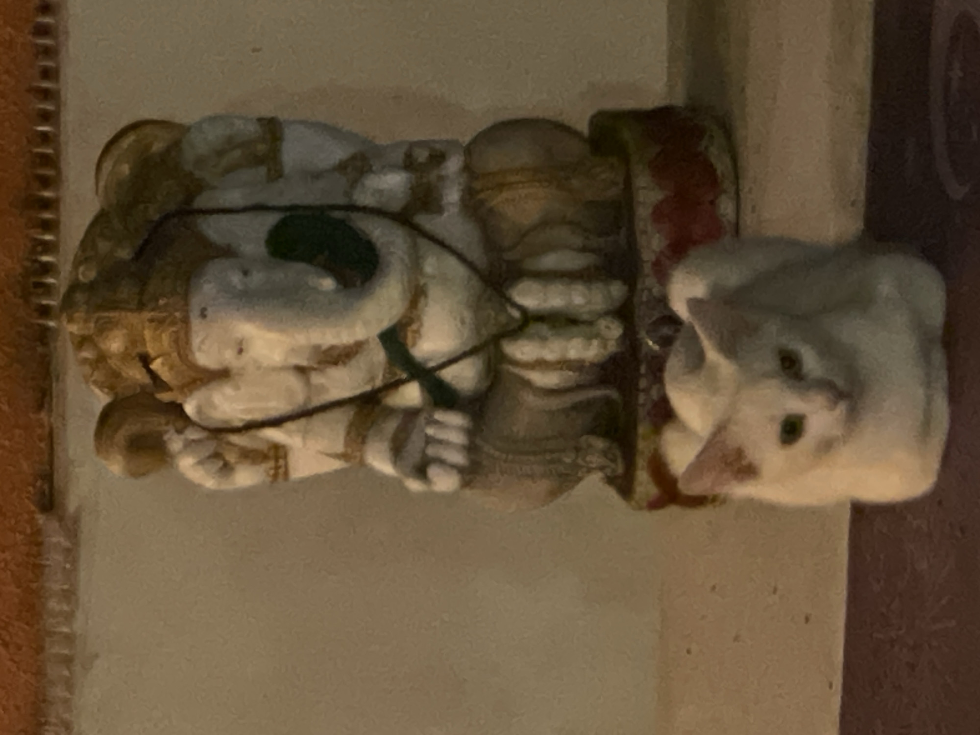 A white cat is sitting next to a small, light-colored, ornamented figurine of an Asian man holding a mace. The image appears to be taken inside, possibly in a residence. It is not possible to infer the location in Denpasar, Indonesia, from the given image.
