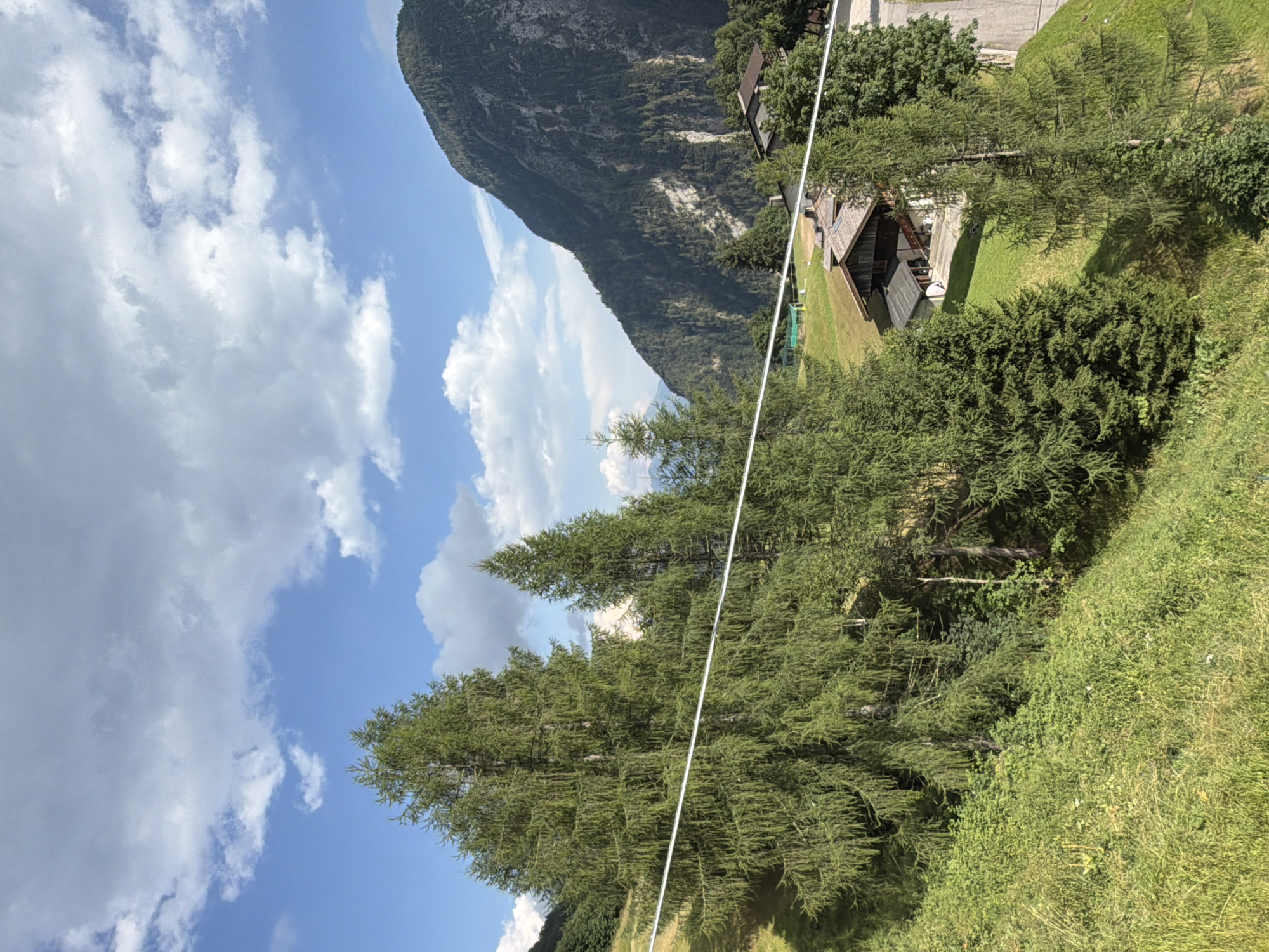 A scenic view captures the mountainous landscape of Sauris / Zahre, Italy. The foreground is dominated by lush green grass and dense coniferous trees. A thin white cable stretches horizontally across the frame, intersecting with the trees. In the mid-ground, several wooden houses with brown roofs are nestled on a grassy slope. A winding paved road is visible to the right. The background features a towering, tree-covered mountain under a bright blue sky dotted with fluffy white clouds. The scene is bathed in natural daylight.