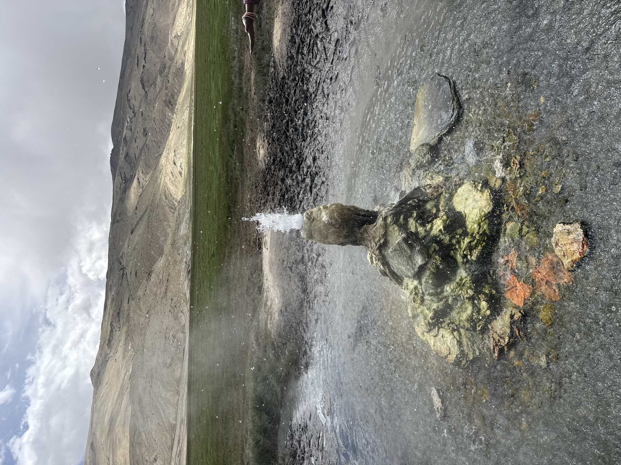 The image depicts a geothermal geyser erupting water in Puga, India. The geyser is centered in a shallow, rocky pool with mineral deposits of various colors, including green and orange. The water is clear and turbulent, with splashes visible in the foreground and air. Beyond the pool, a muddy area with some grass leads to a wider, flat expanse of green grass. In the background, barren, undulating hills rise under a cloudy sky. A person's arm and hand, adorned with bracelets, are extended from the right side of the frame, reaching towards the geyser. The overall scene suggests a natural landscape where geological activity is occurring.