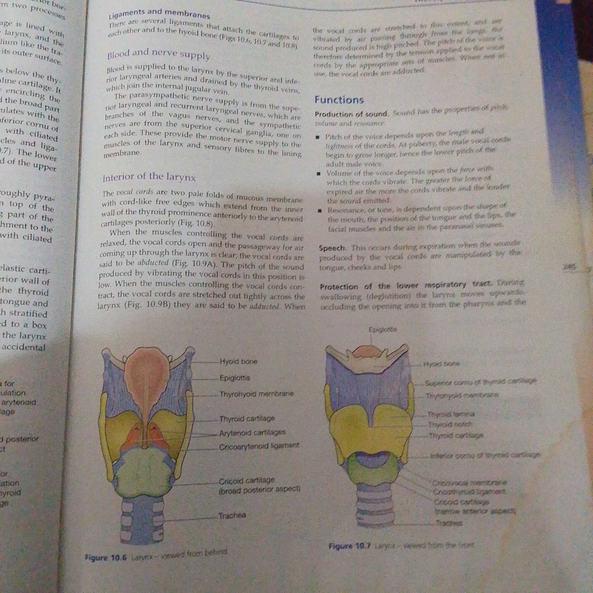 The image is a page from a medical textbook discussing the anatomy and function of the larynx. It includes textual explanations and two diagrams illustrating the larynx. The text describes ligaments, membranes, blood and nerve supply, the interior of the larynx, and the functions of the larynx, specifically speech production. The diagrams show different views of the larynx with various parts labeled, such as the hyoid bone, epiglottis, thyroid cartilage, and trachea. There is no information in the image that relates to Jalingo, Nigeria, or any specific city.